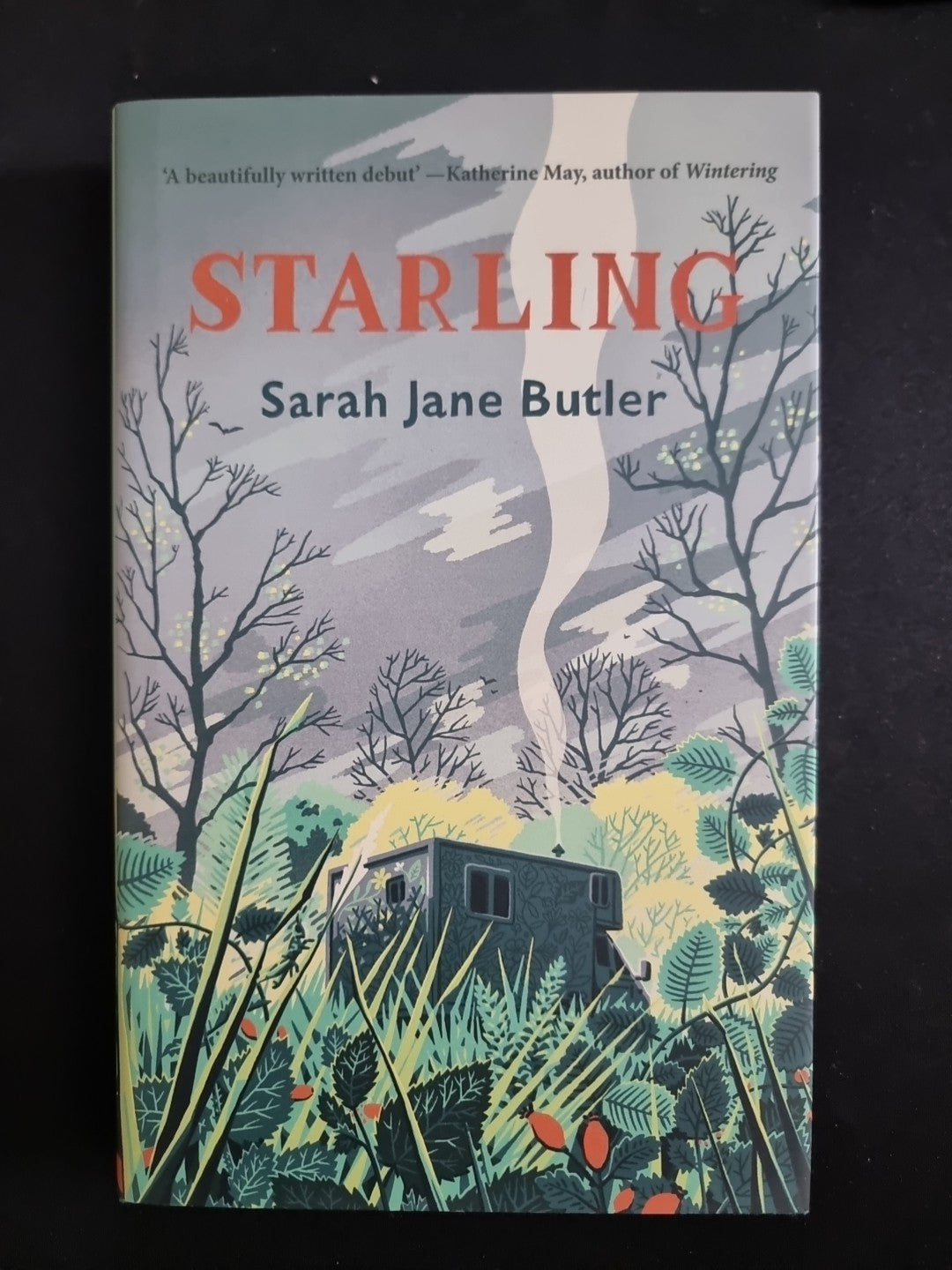 Starling, Sarah Jane Butler,  Hardback