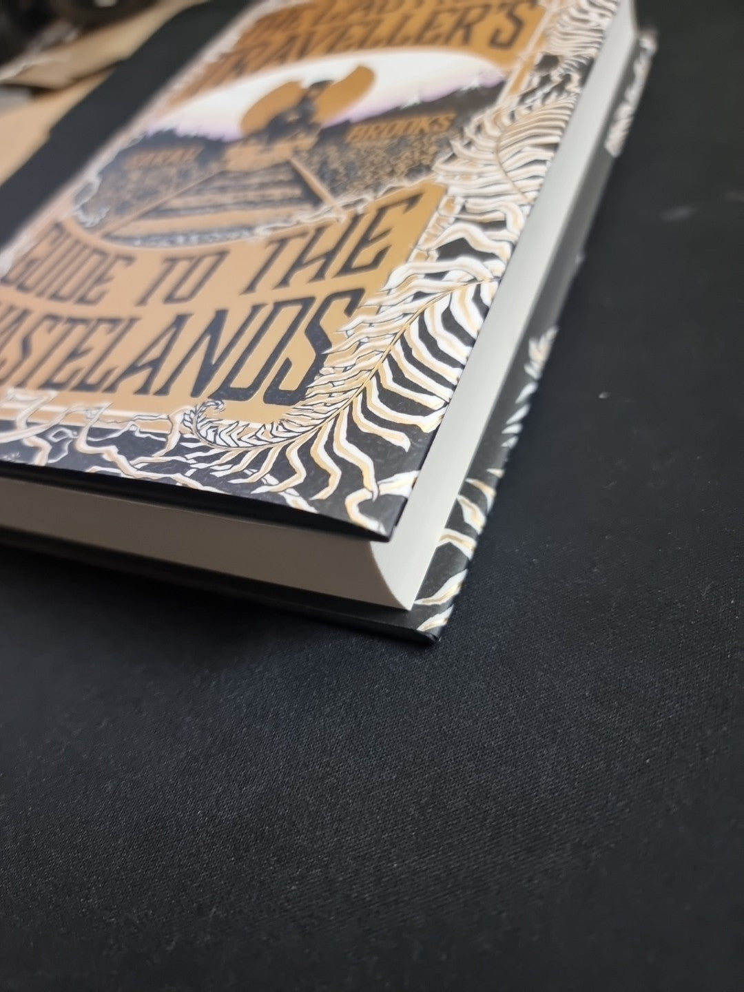 The Cautious Traveller's Guide to The Wastelands by Sarah Brooks 