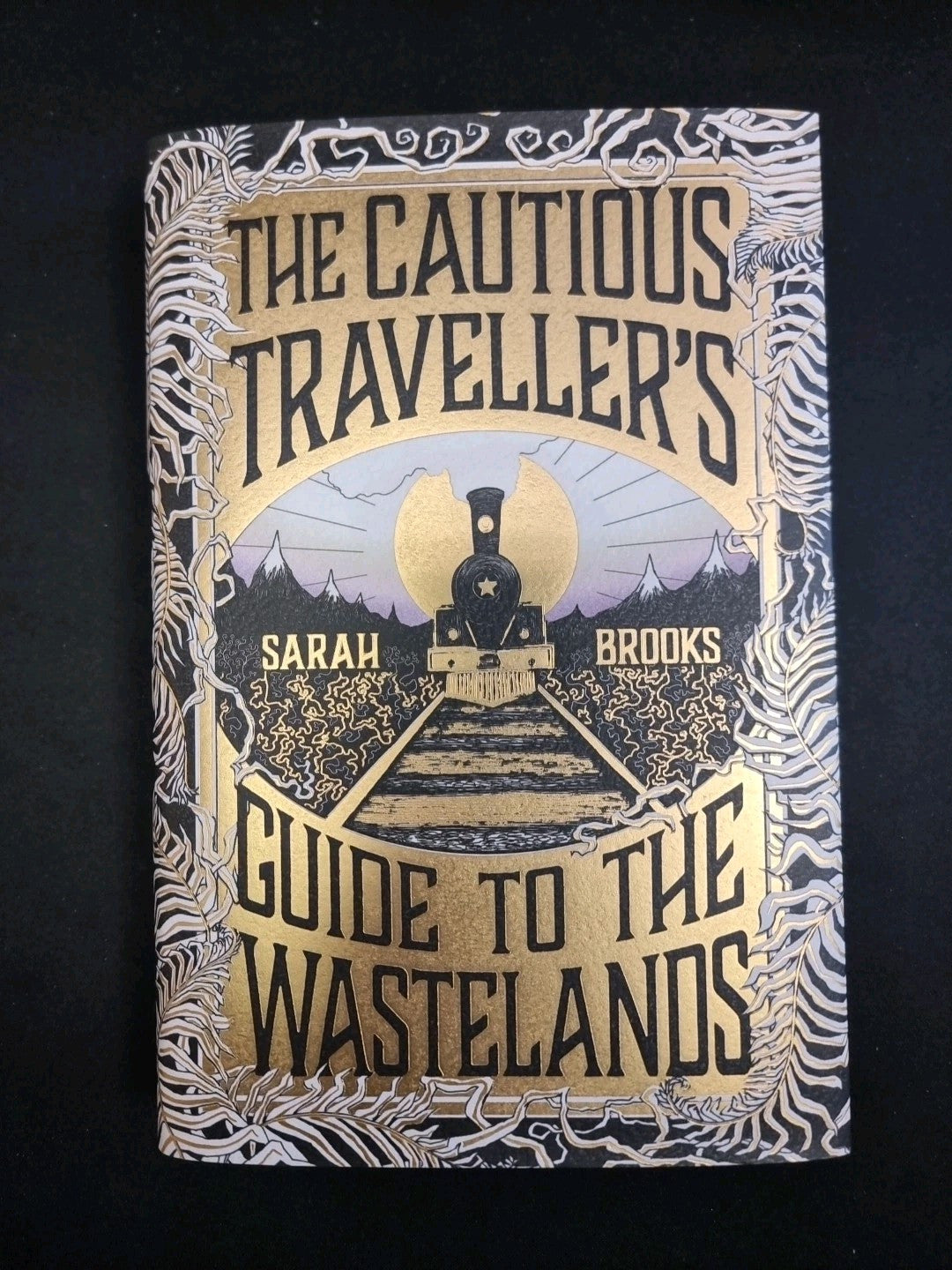 The Cautious Traveller's Guide to The Wastelands by Sarah Brooks - New Hardback