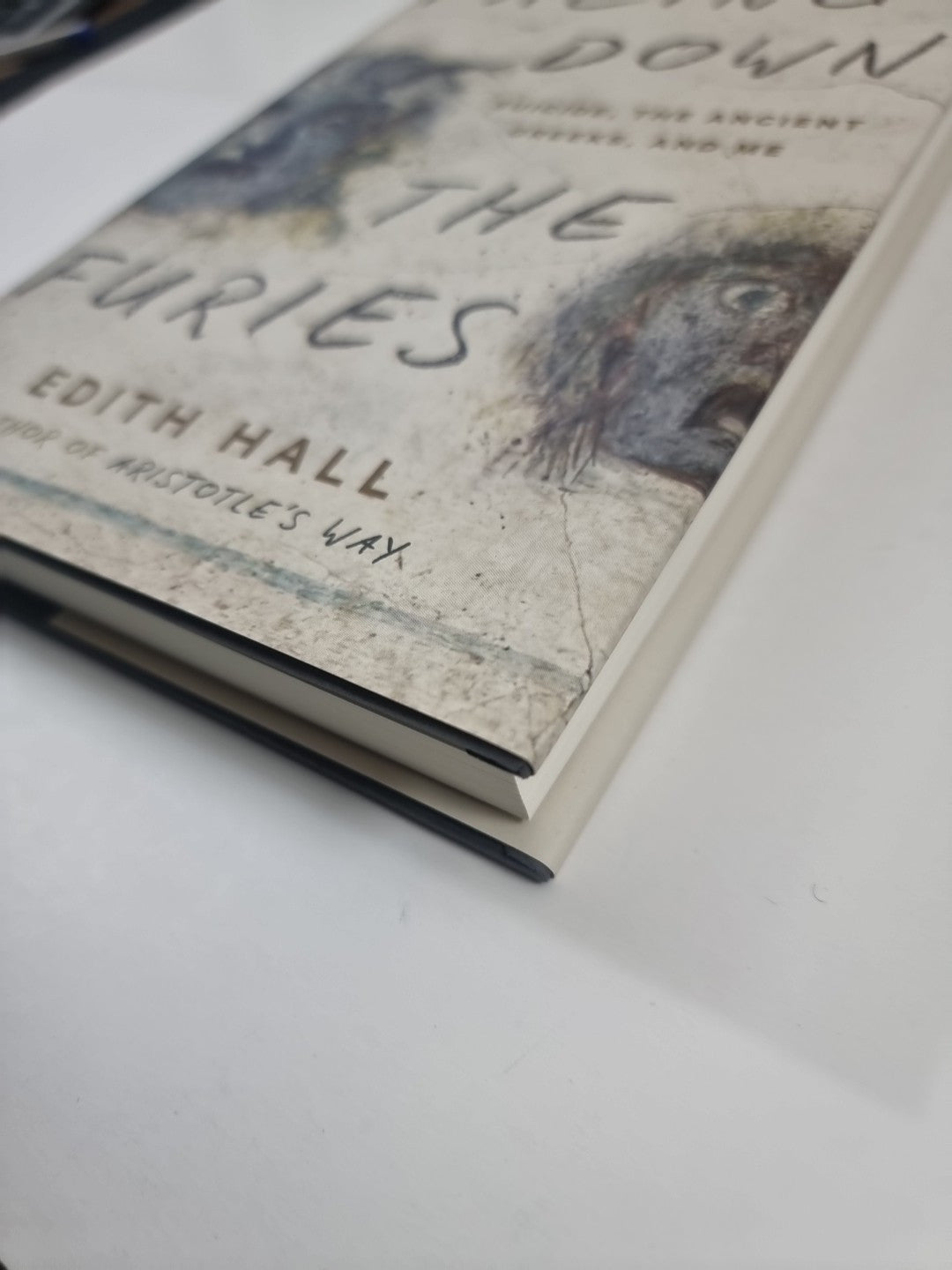 Facing Down the Furies  Edith Hall 