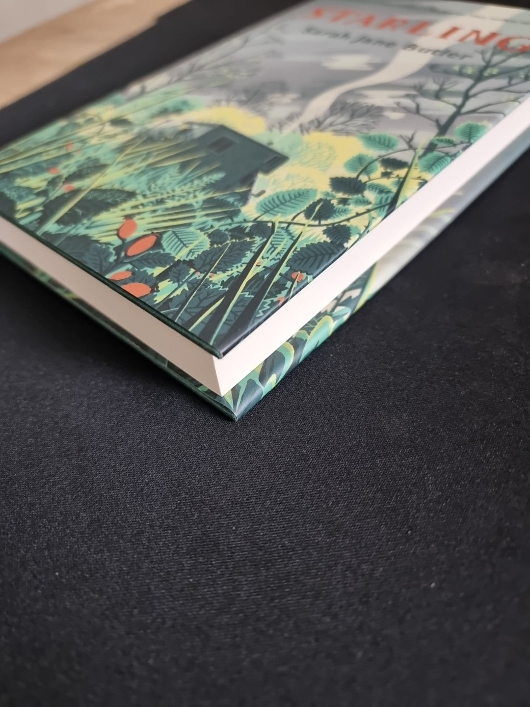 Starling, Sarah Jane Butler,  Hardback