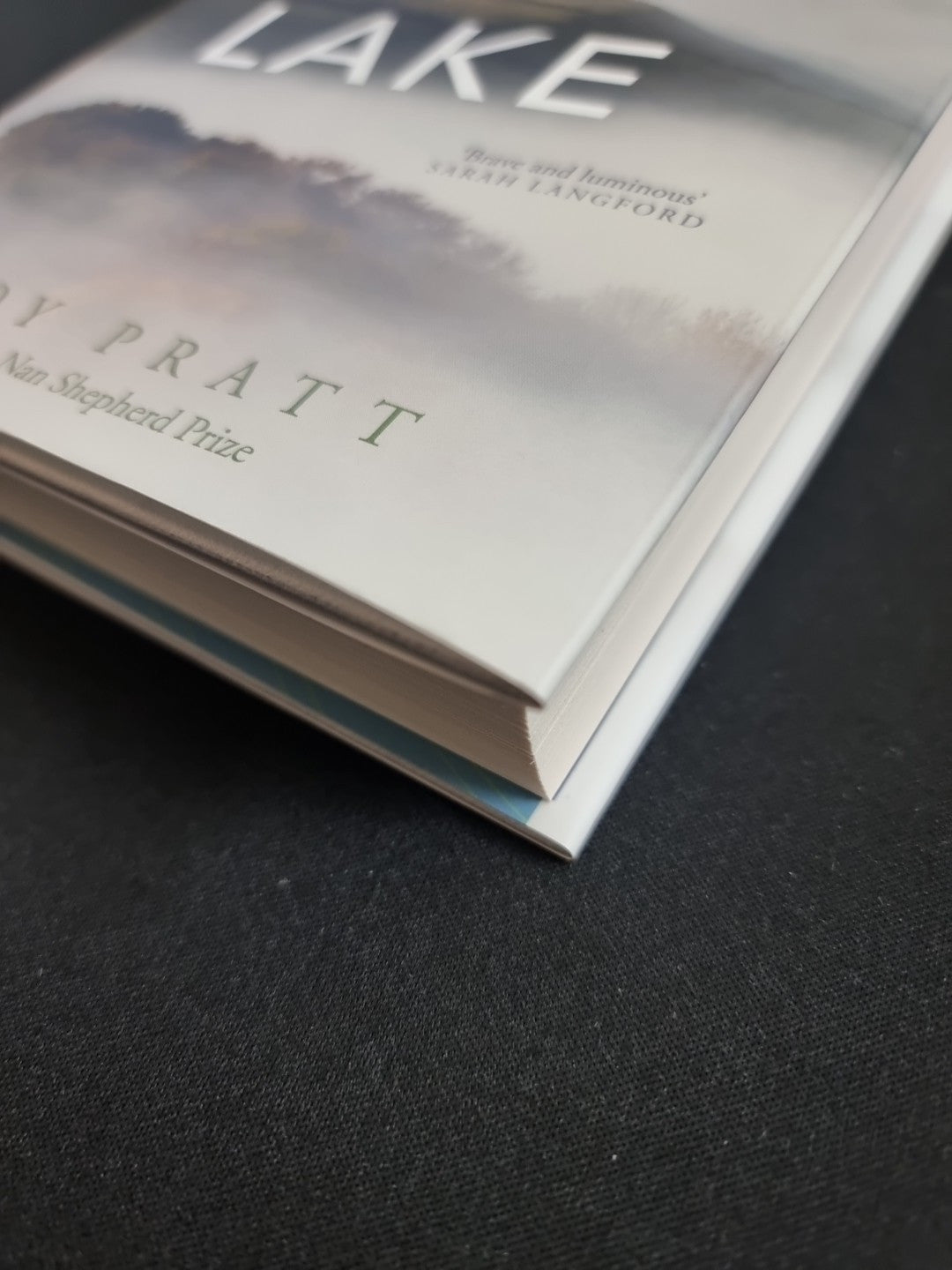 The Ghost Lake  Wendy Pratt 