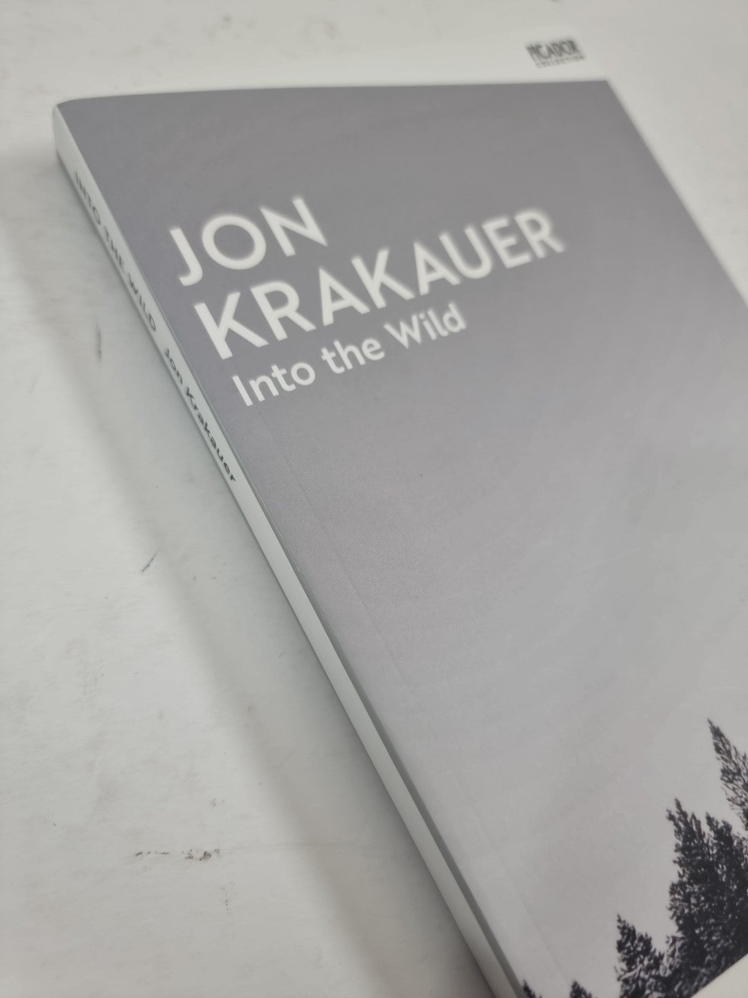 Into the Wild Jon Krakauer 