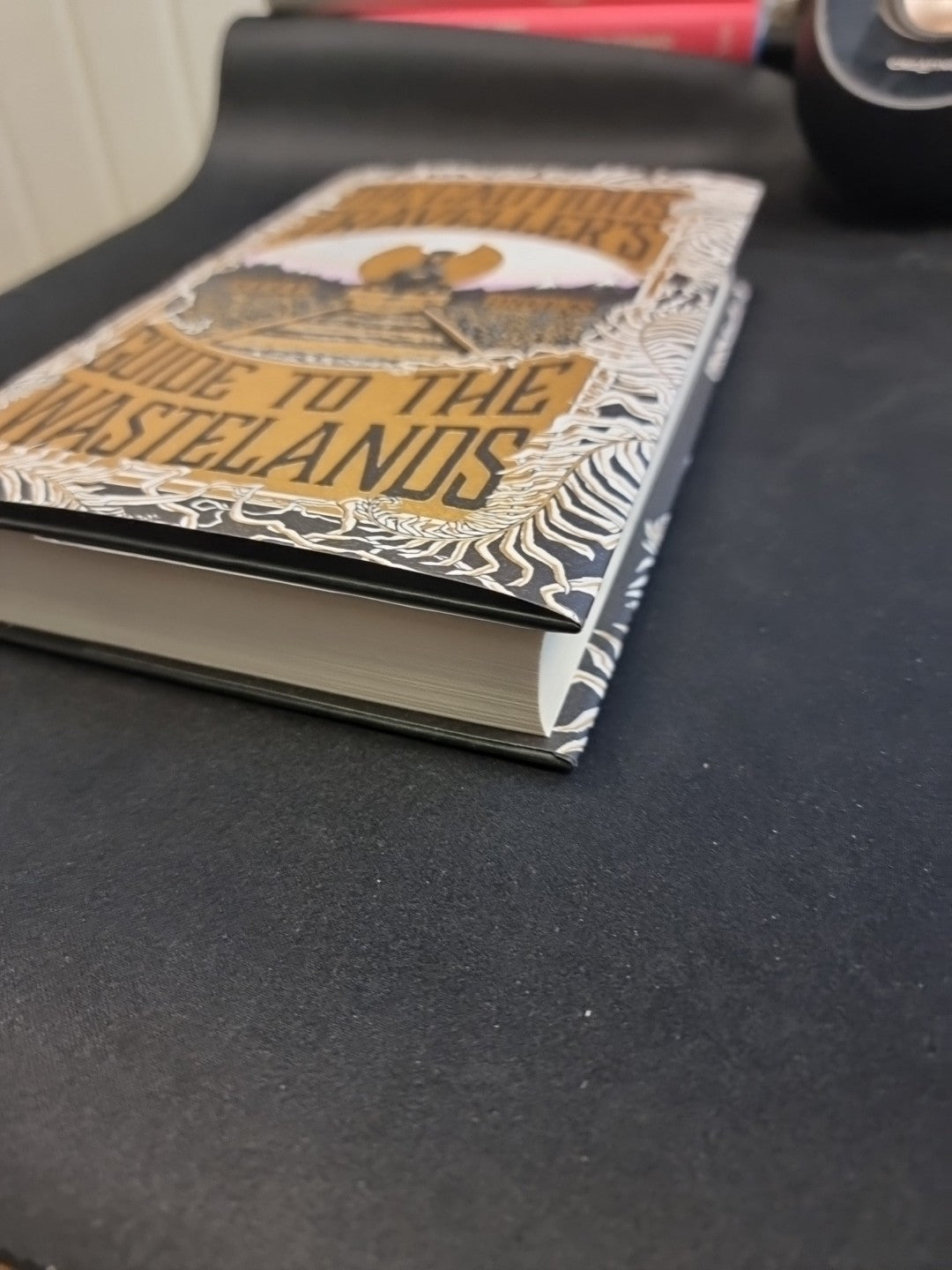 The Cautious Traveller's Guide to The Wastelands by Sarah Brooks - New Hardback