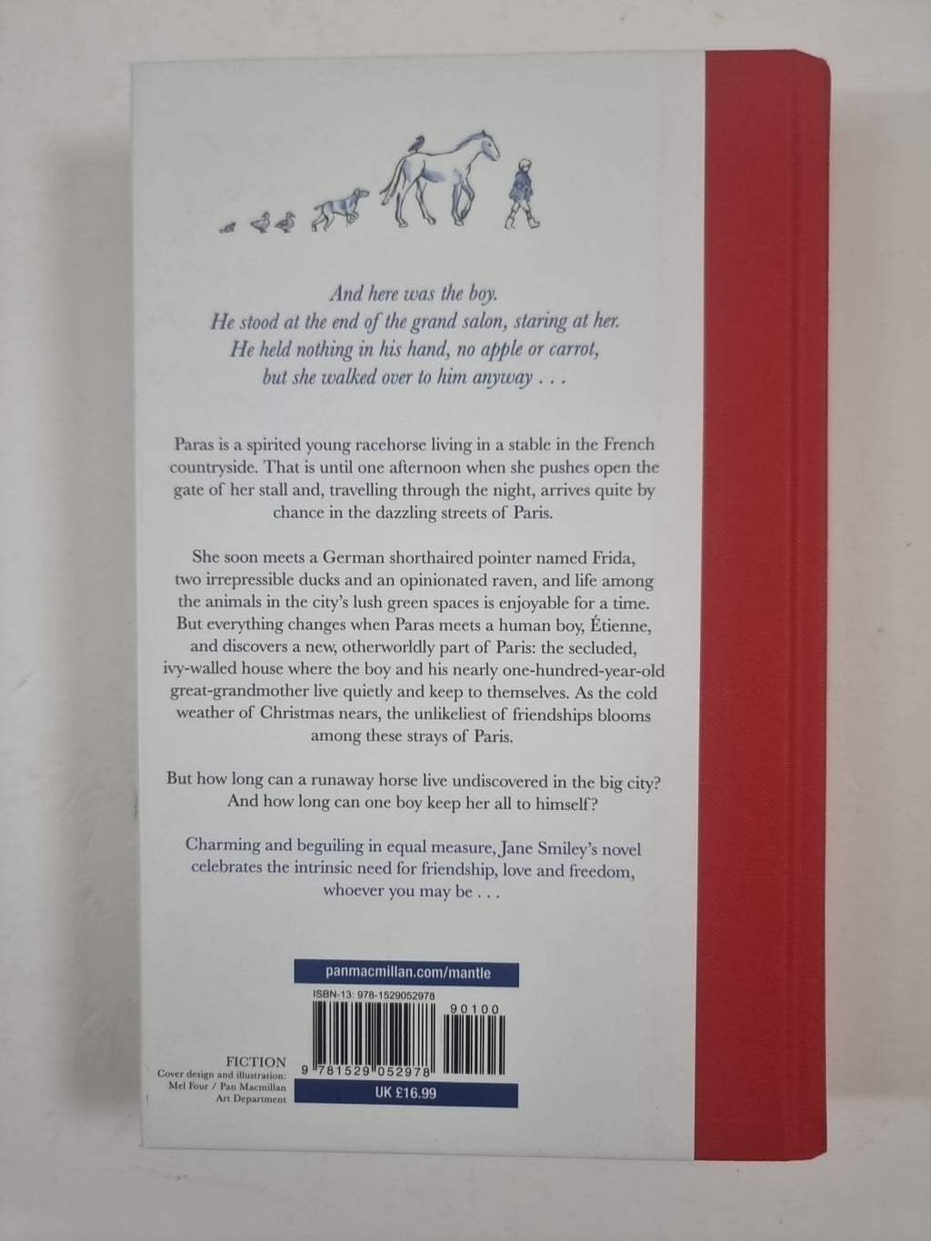 The Strays of Paris by Jane Smiley (Hardcover, 2021) 