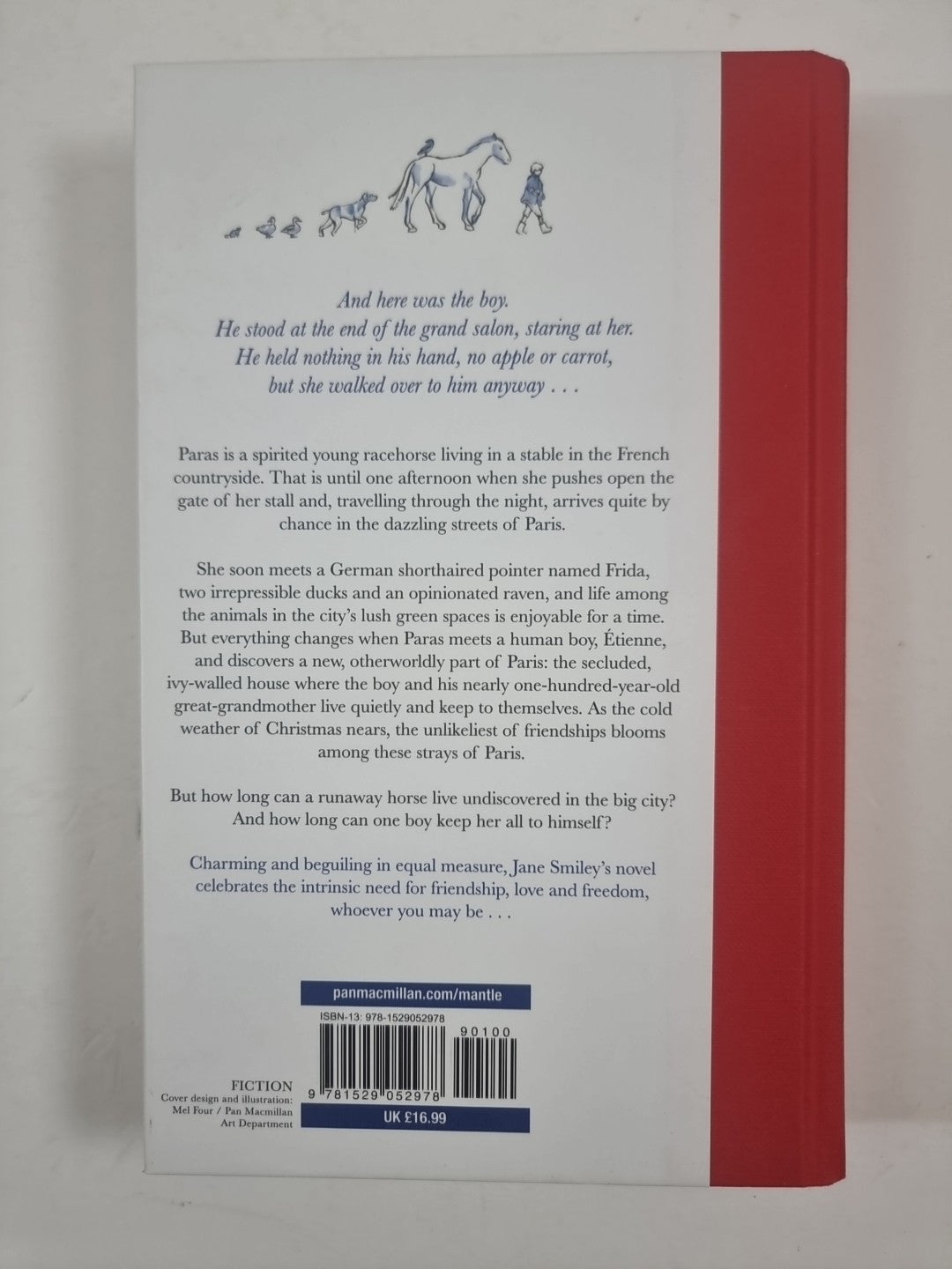 The Strays of Paris by Jane Smiley (Hardcover, 2021) 