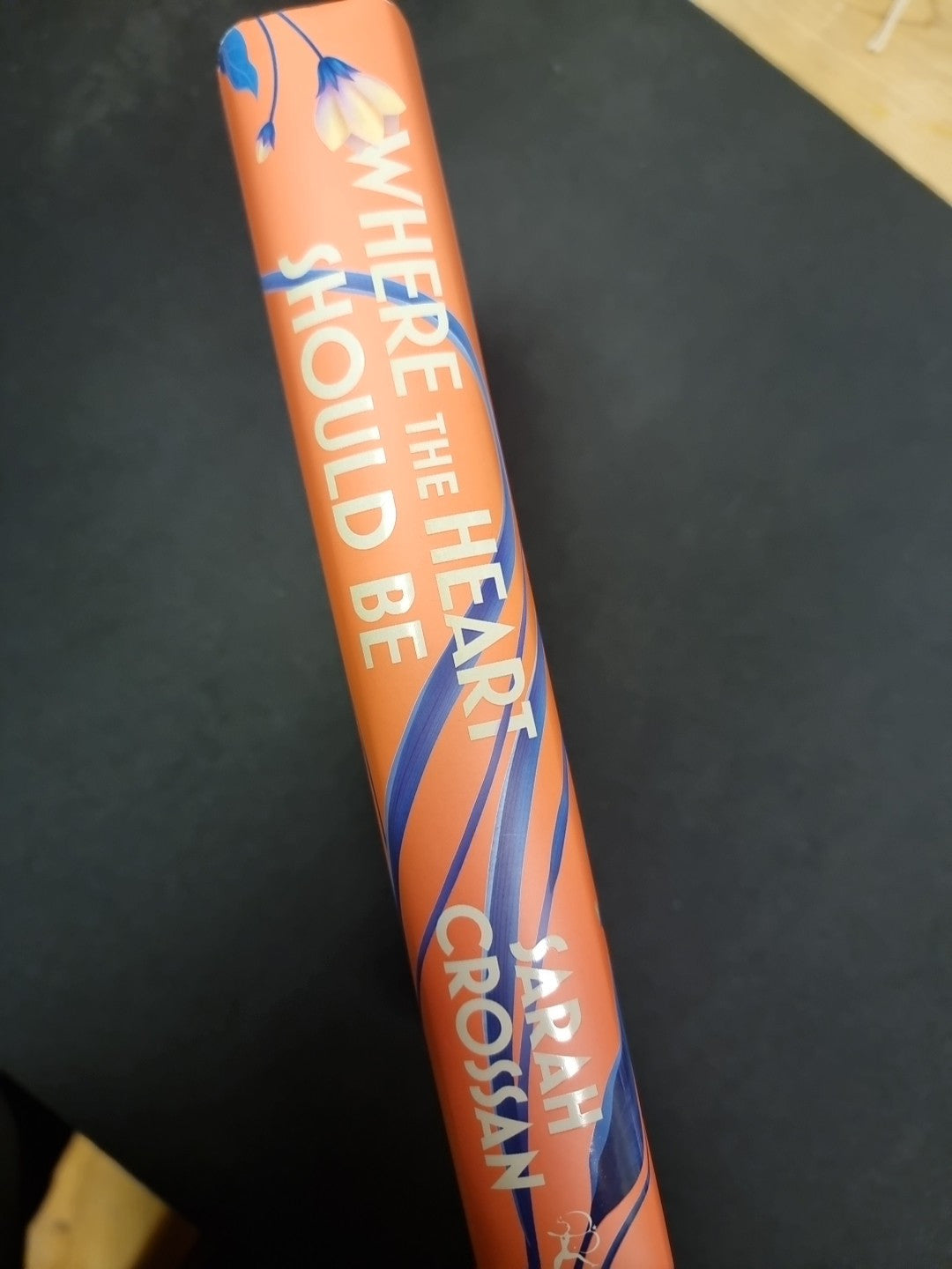 Where the Heart Should Be: The Times Children's Book of the Week