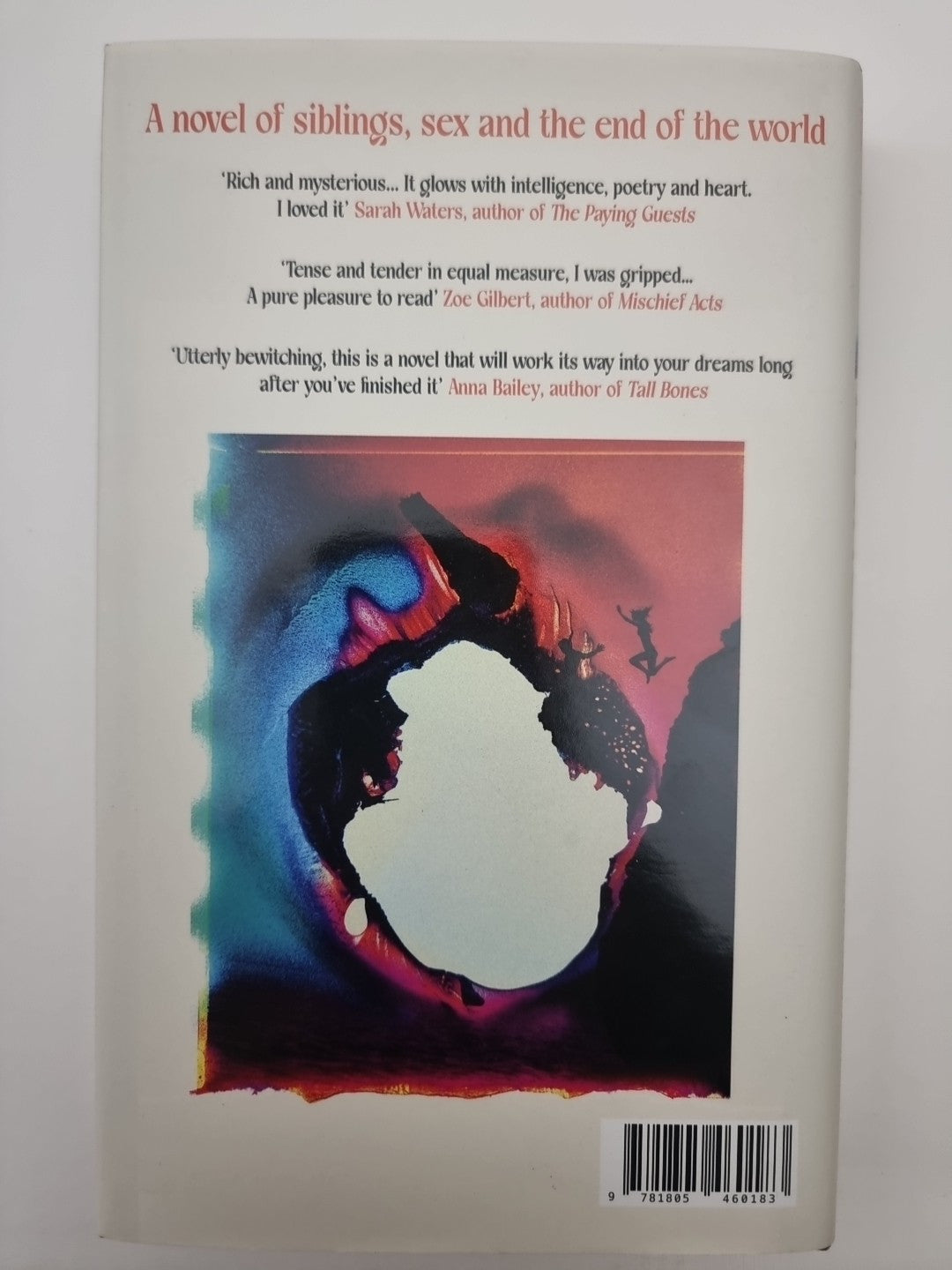 We Are Together Because: A novel of siblings 1st Edition Signed 