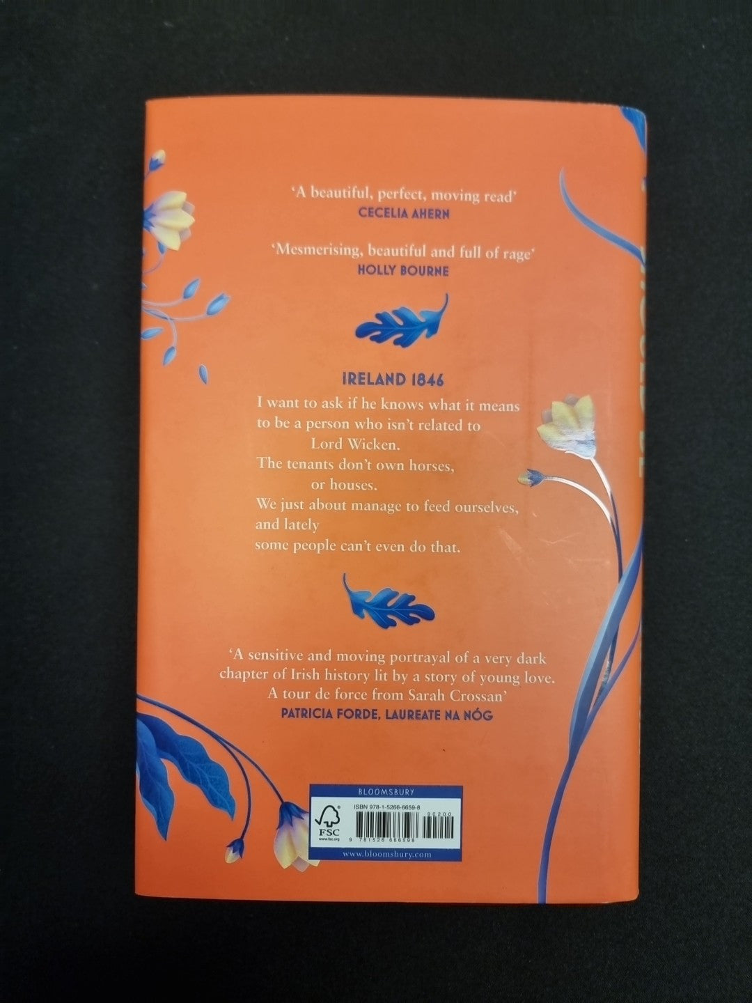 Where the Heart Should Be: The Times Children's Book of the Week