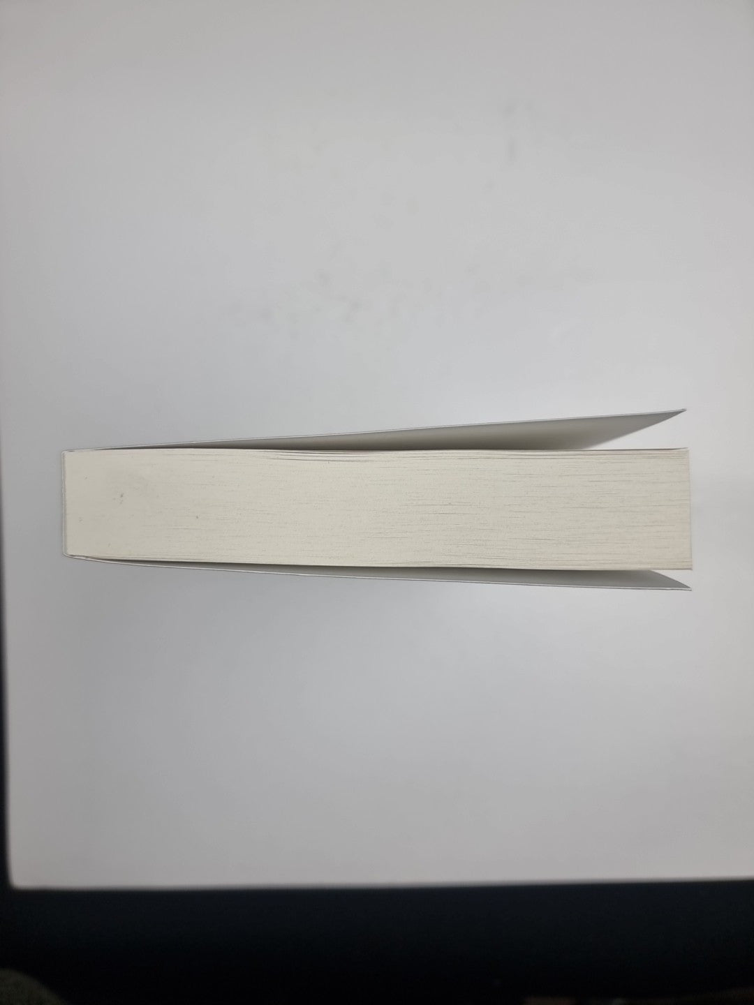 Rockaway: The third book in the chillingly plausible Ro. Paperback