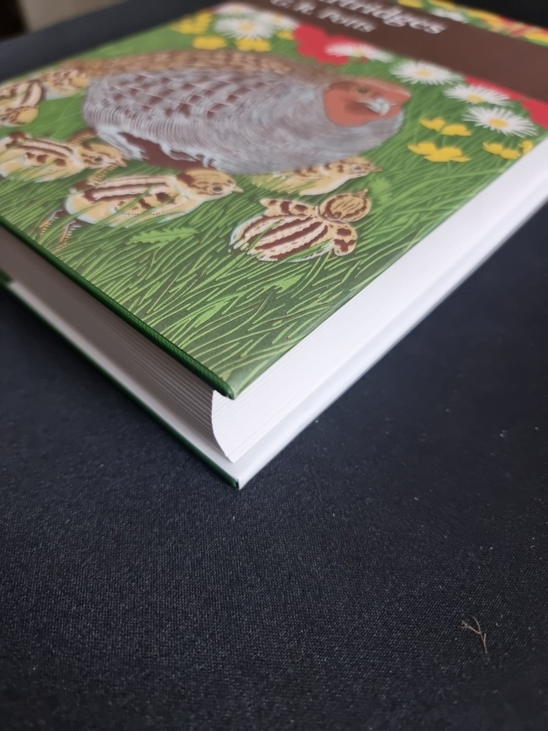 Partridges: Countryside Barometer (Collins New Naturalist Library)