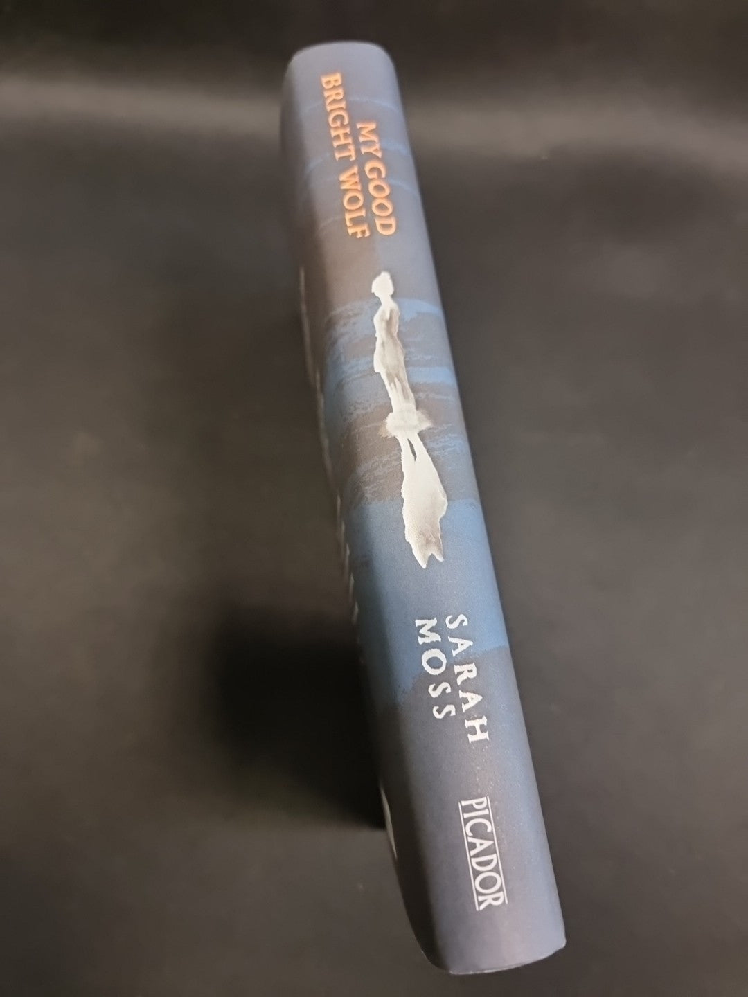 SIGNED My Good Bright Wolf by Sarah Moss. First edition, 