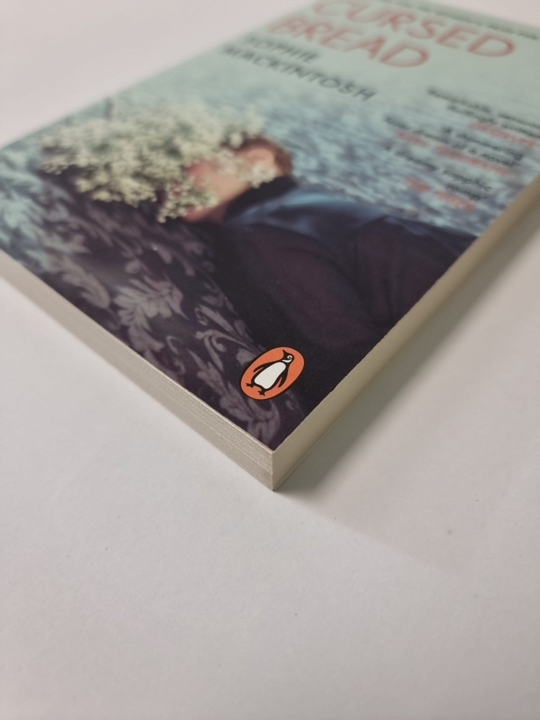 Cursed Bread: Longlisted for the Women’s Prize NEW Free Tracked Delivery