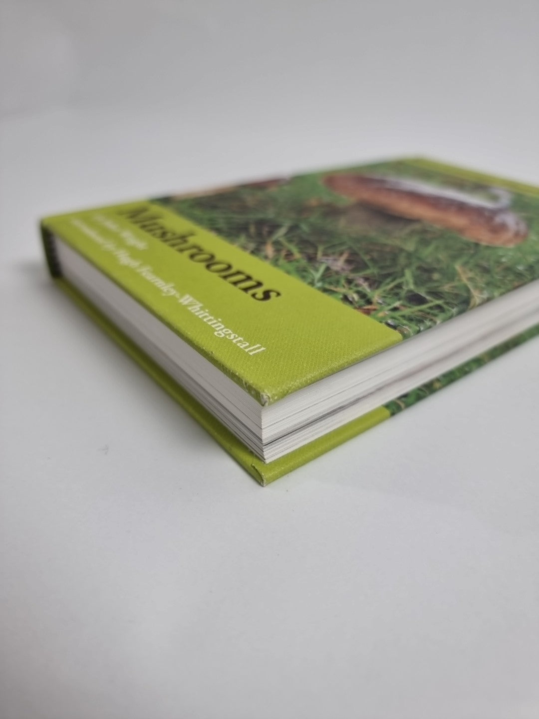 Mushrooms by John Wright (Hardcover, 2007) Free Tracked Delivery New