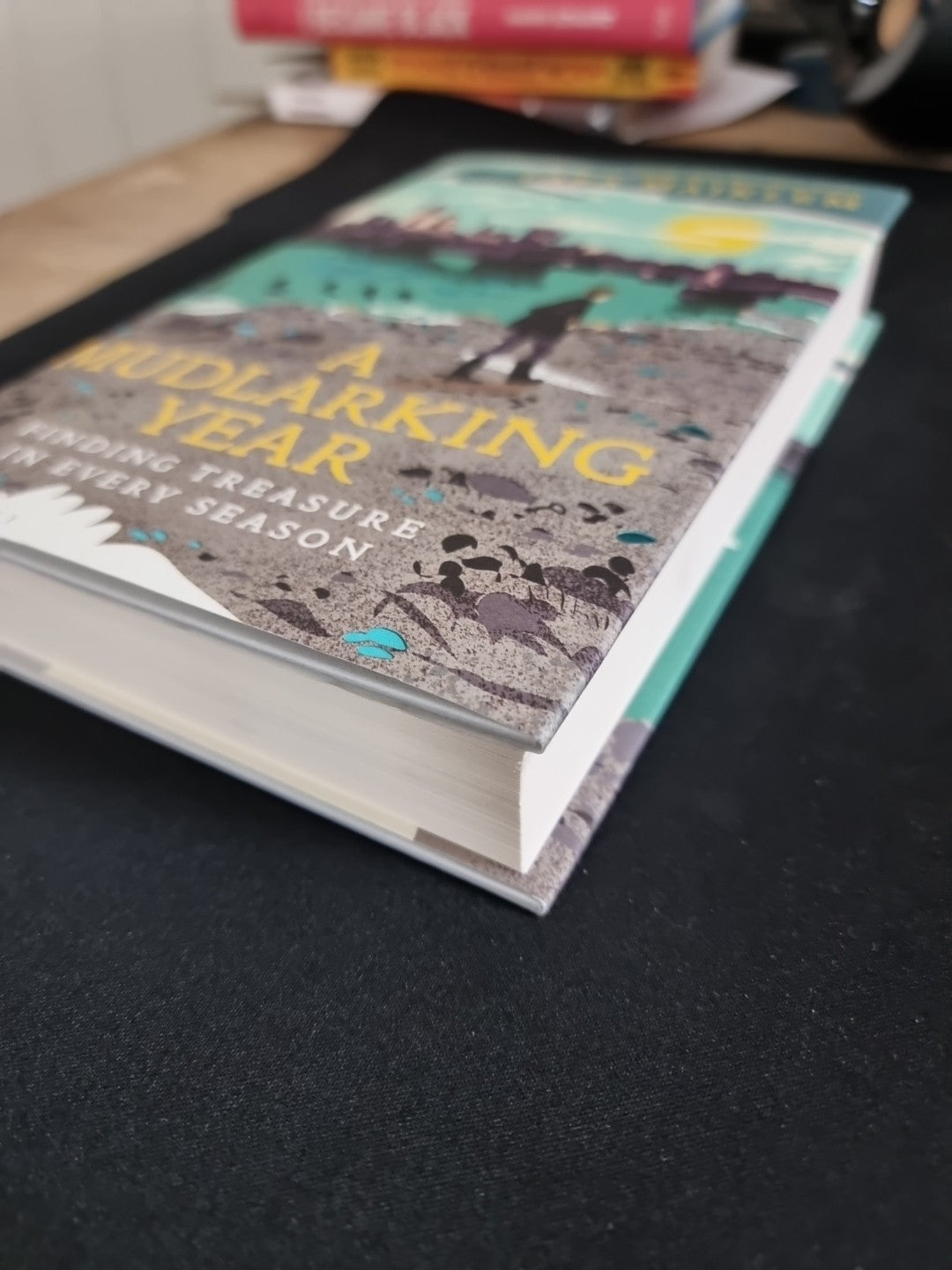 1st Edition: A Mudlarking Year  Lara Maiklem 