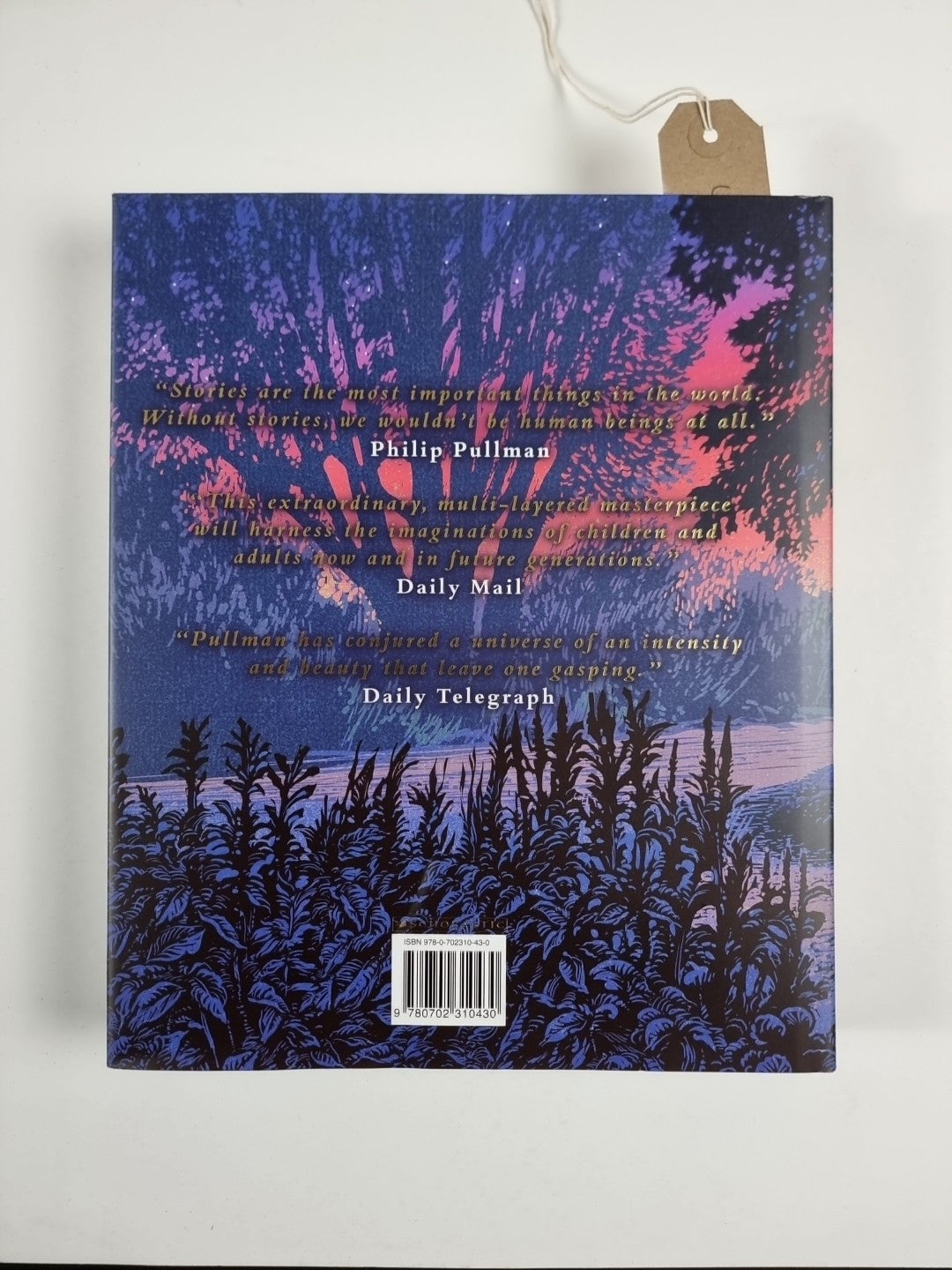 The Amber Spyglass by Philip Pullman Illustrated in Colour by Chris Wormell