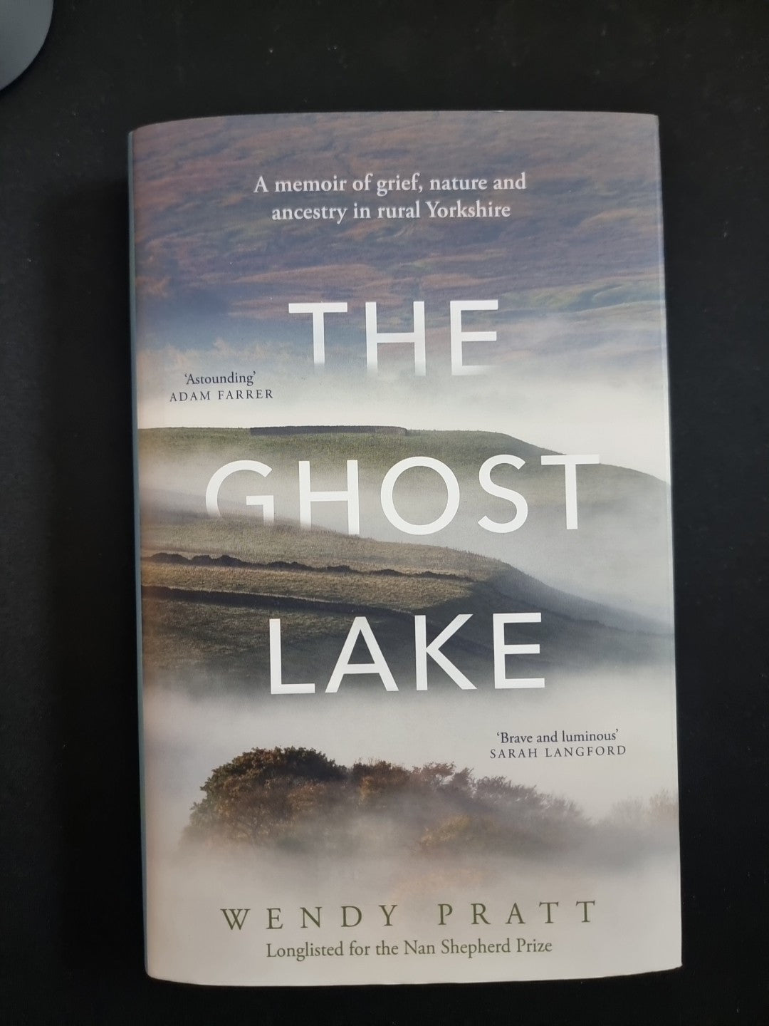 The Ghost Lake  Wendy Pratt 