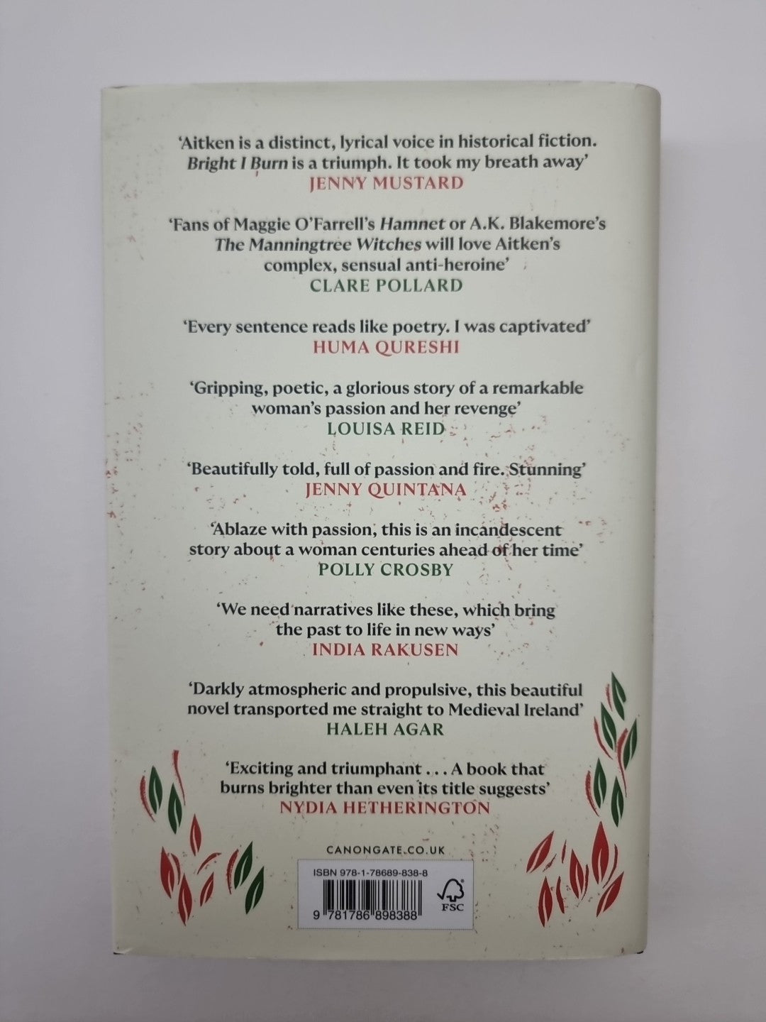 Bright I Burn by Molly Aitken Hardcover Book 1st Edition 