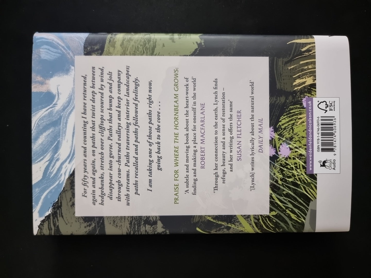 The Cove  Beth Lynch 