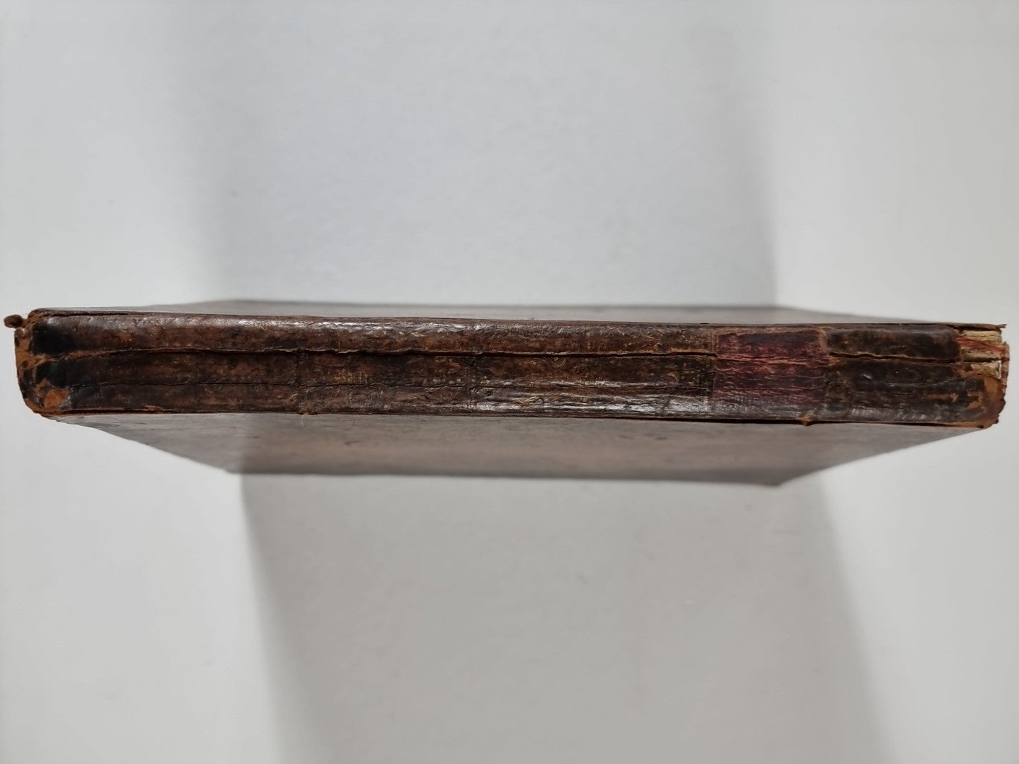 A Treatise on Domestic Pigeons, John Moore 1765 1st Edition, Very Rare