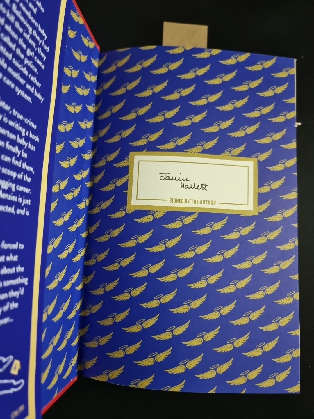 The Mysterious Case Of The Alperton Angels By Janice Hallett Signed 1st Edition 