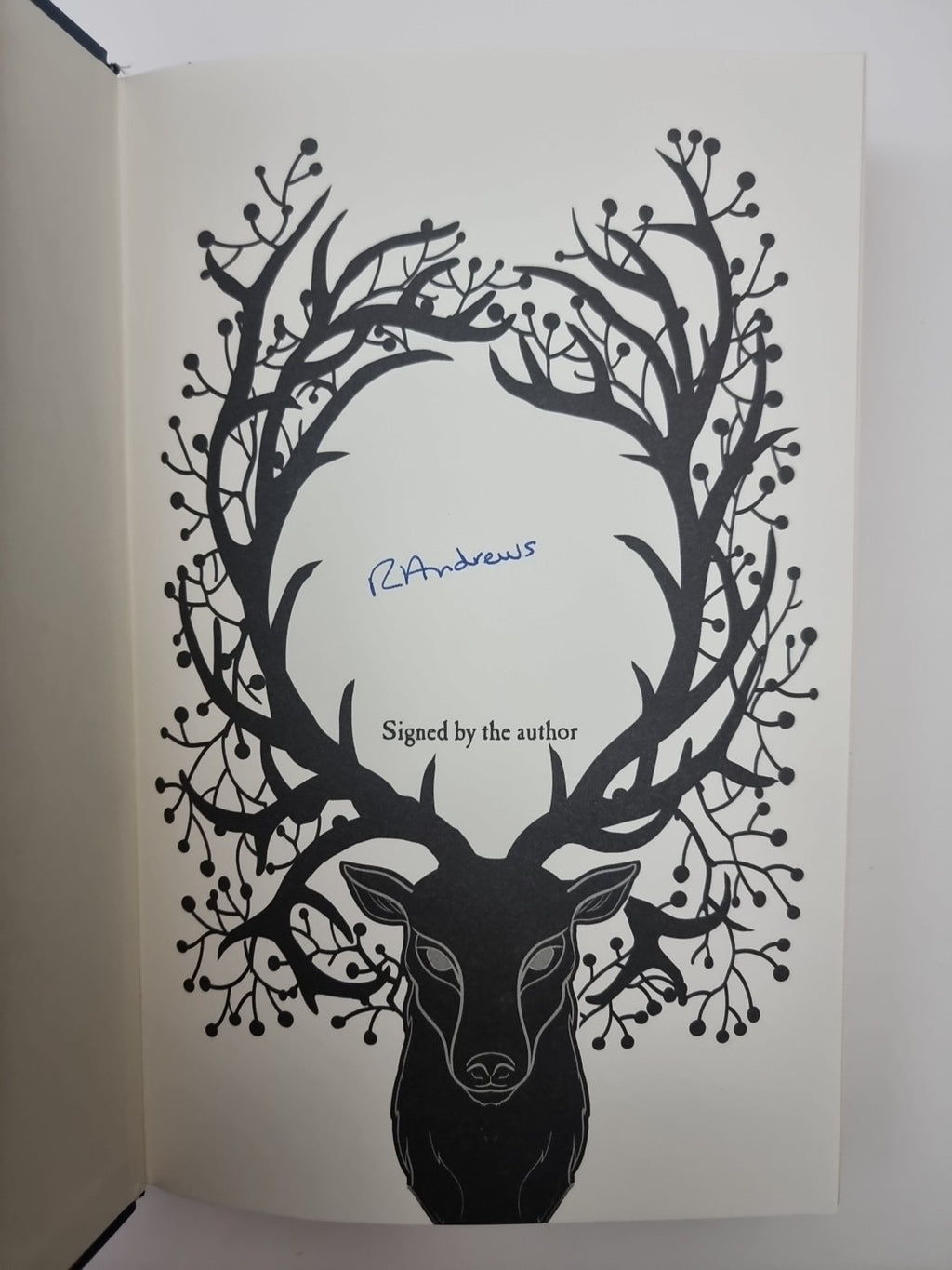The Puzzle Wood By Rosie Andrews (Hardback, 2024) Signed 1st Edition