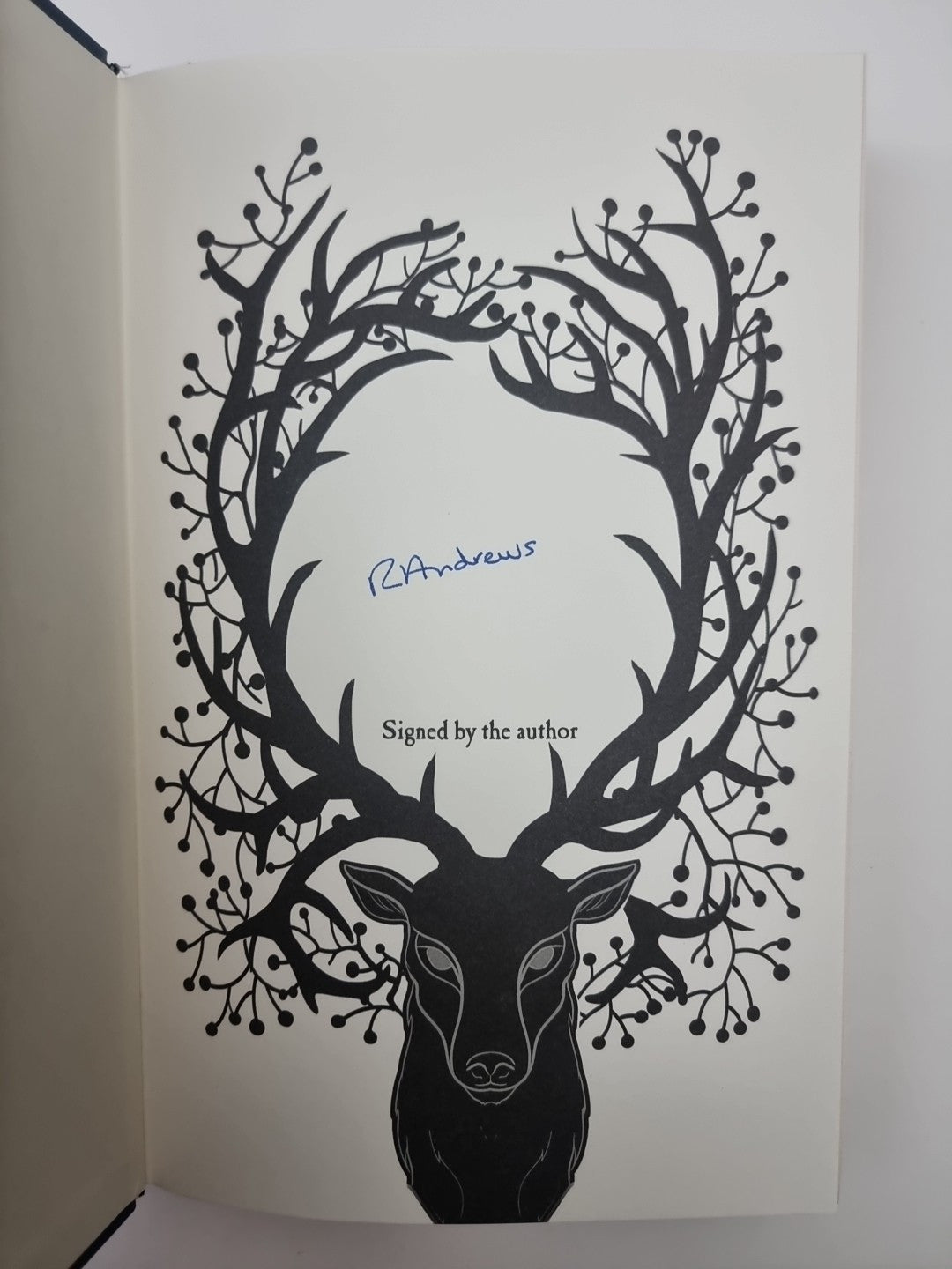 The Puzzle Wood By Rosie Andrews (Hardback, 2024) Signed 1st Edition