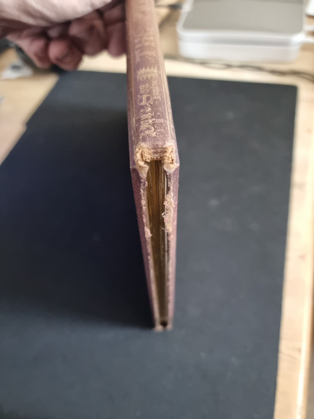 The Prisoner of Chillon LORD BYRON ~ Illuminated by W.G. Audsley First Thus 1865