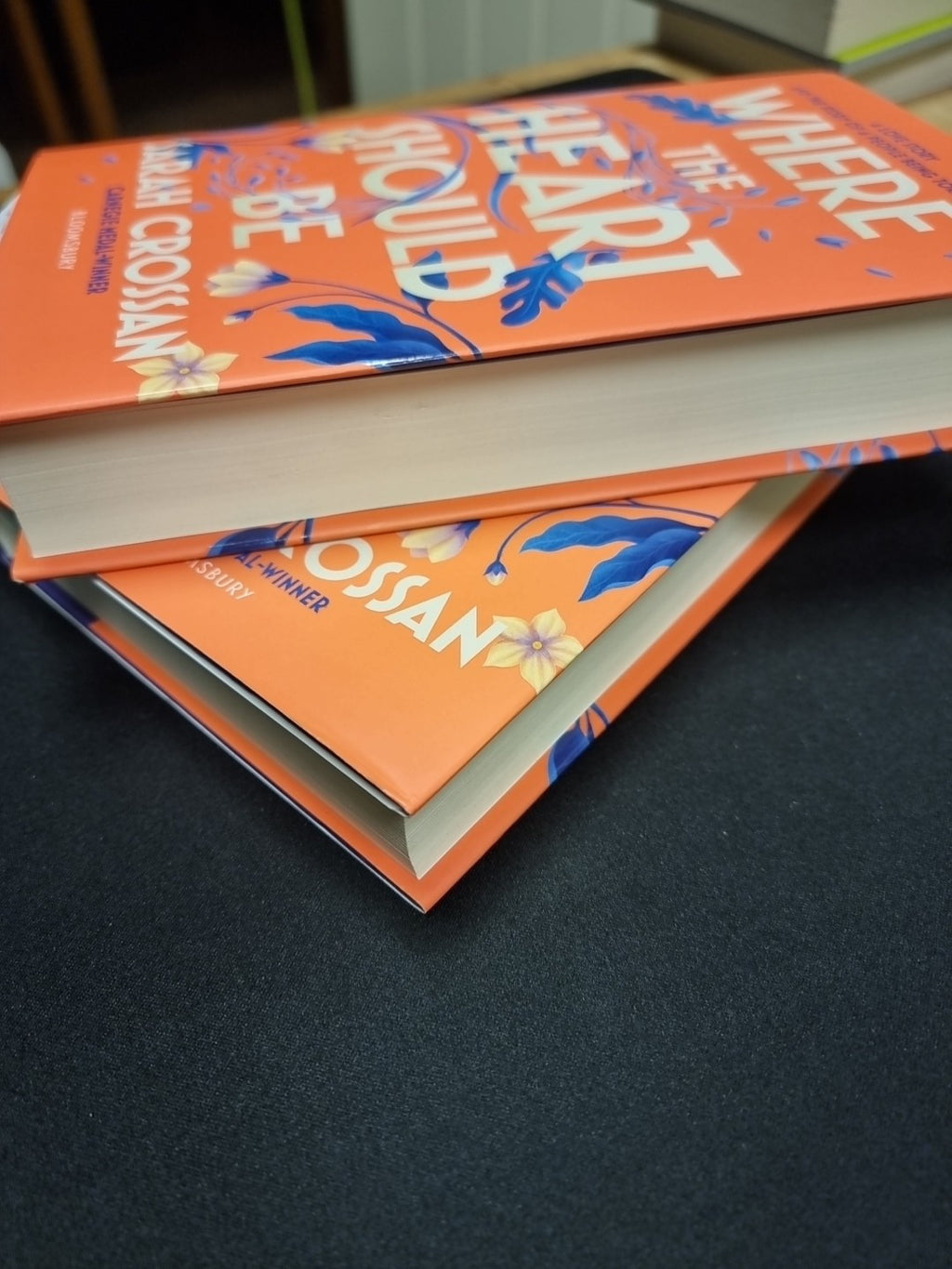 Where the Heart Should Be: The Times Children's Book of the Week