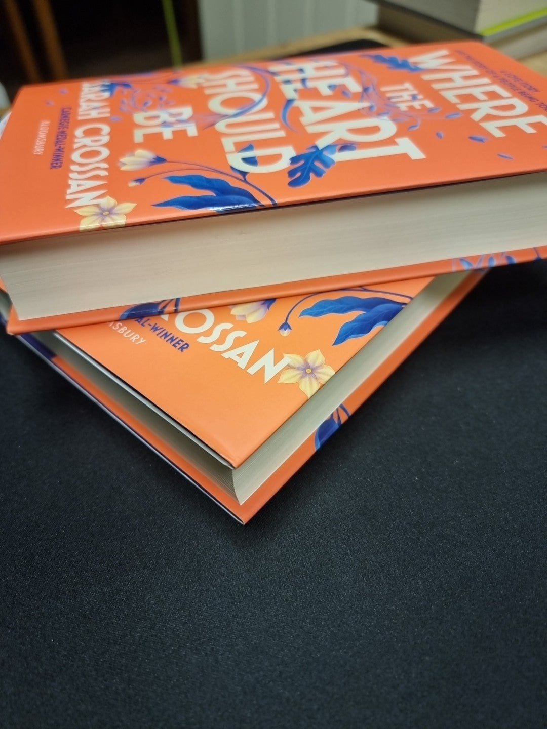 Where the Heart Should Be: The Times Children's Book of the Week