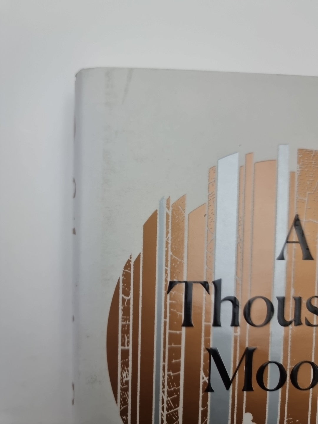 Barry, Sebastian : A Thousand Moons 1st Edition Signed 