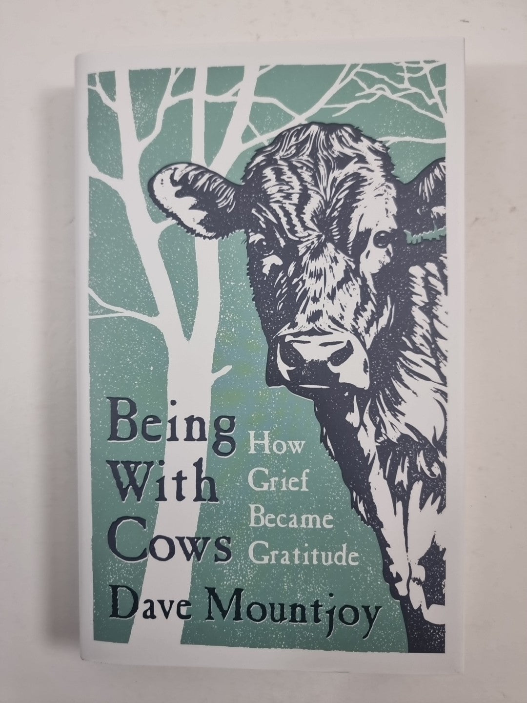 Being With Cows  Dave Mountjoy 