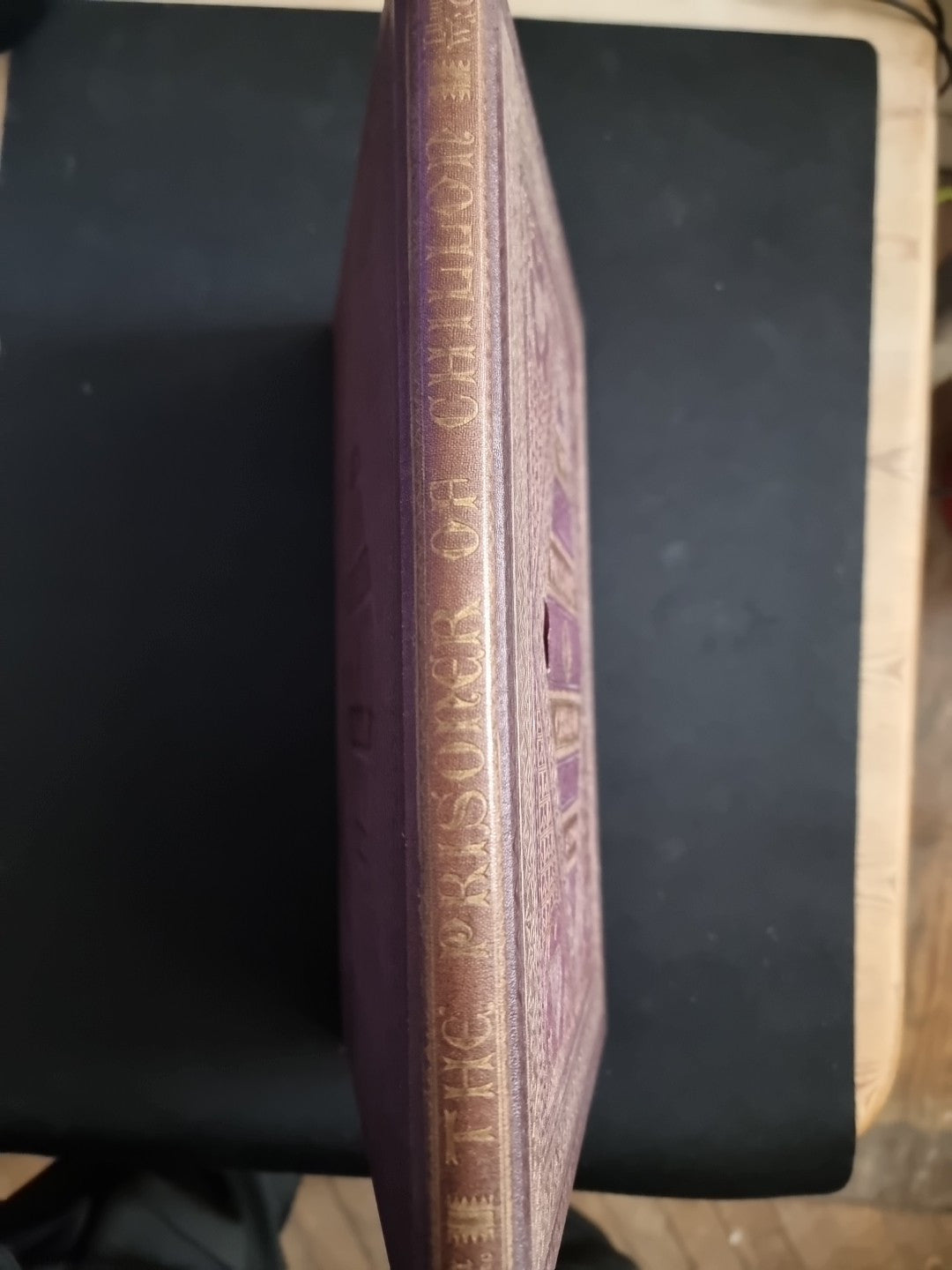 The Prisoner of Chillon LORD BYRON ~ Illuminated by W.G. Audsley First Thus 1865