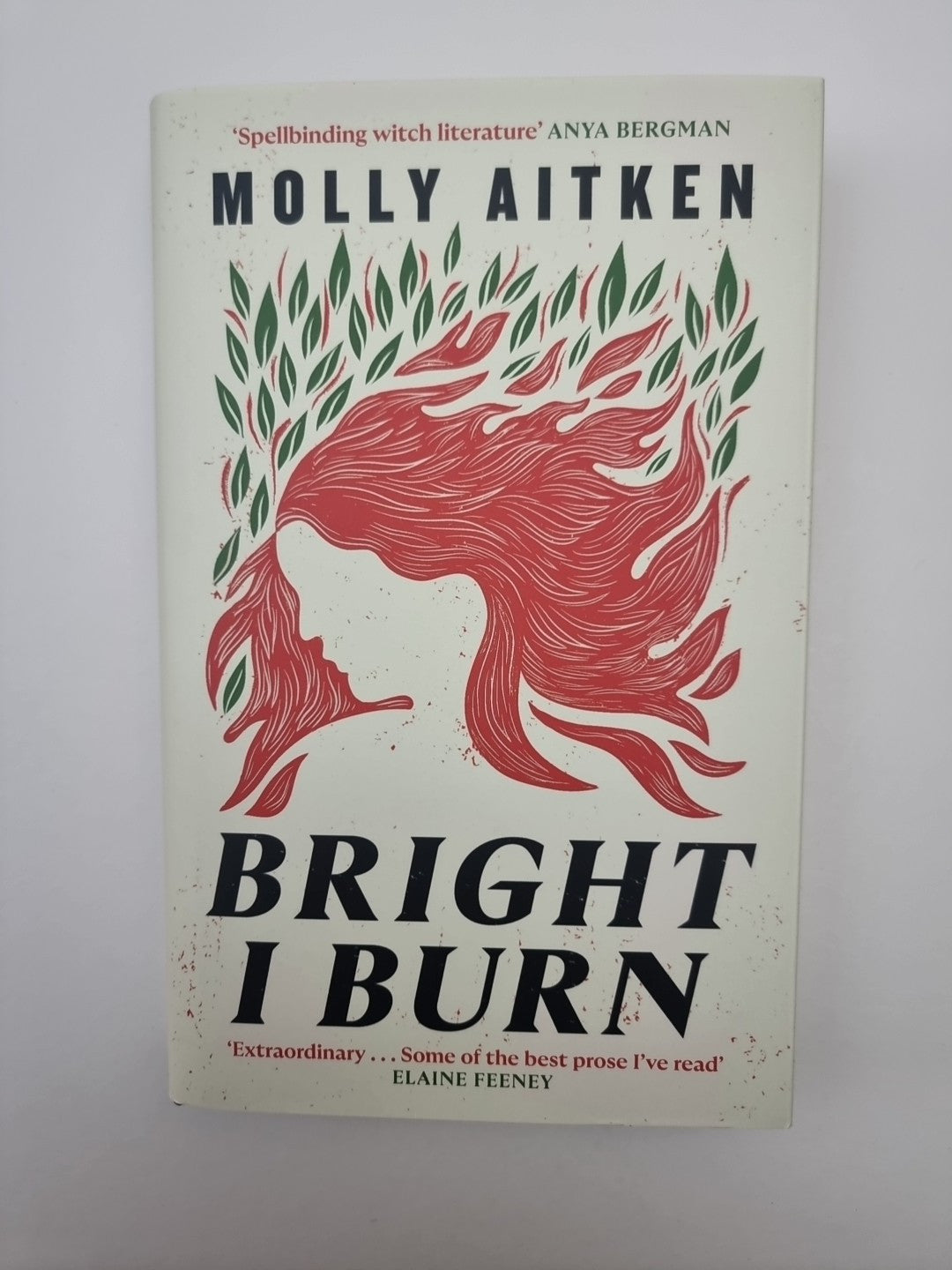 Bright I Burn by Molly Aitken Hardcover Book 1st Edition 
