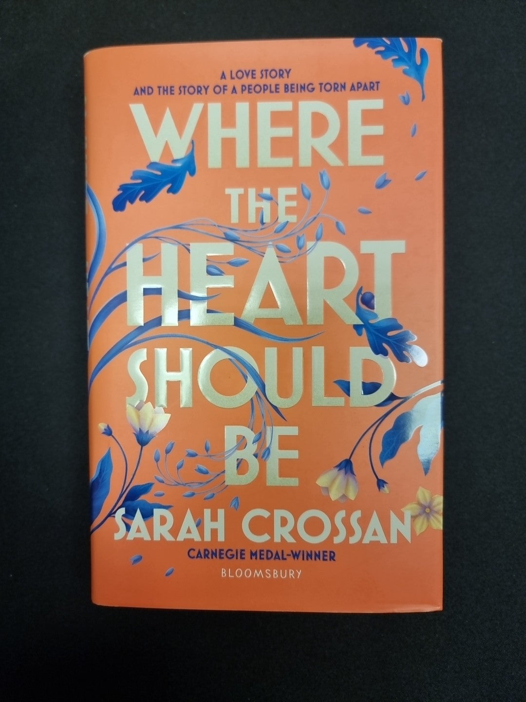 Where the Heart Should Be: The Times Children's Book of the Week