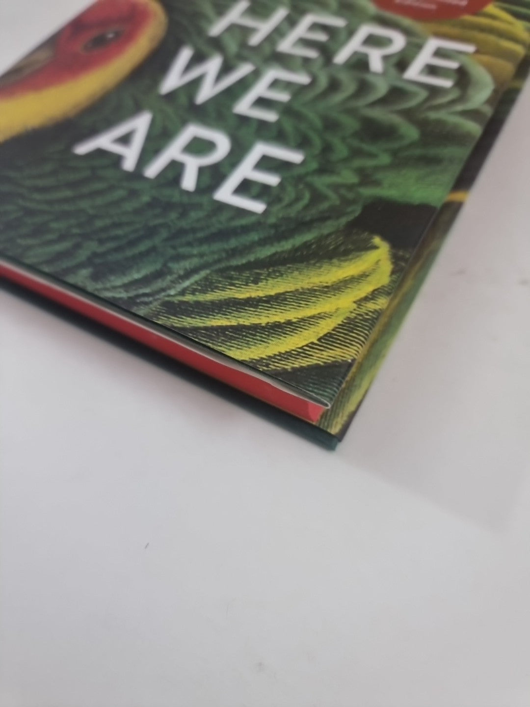 Here We Are by Graham Swift. Signed 1st edition 