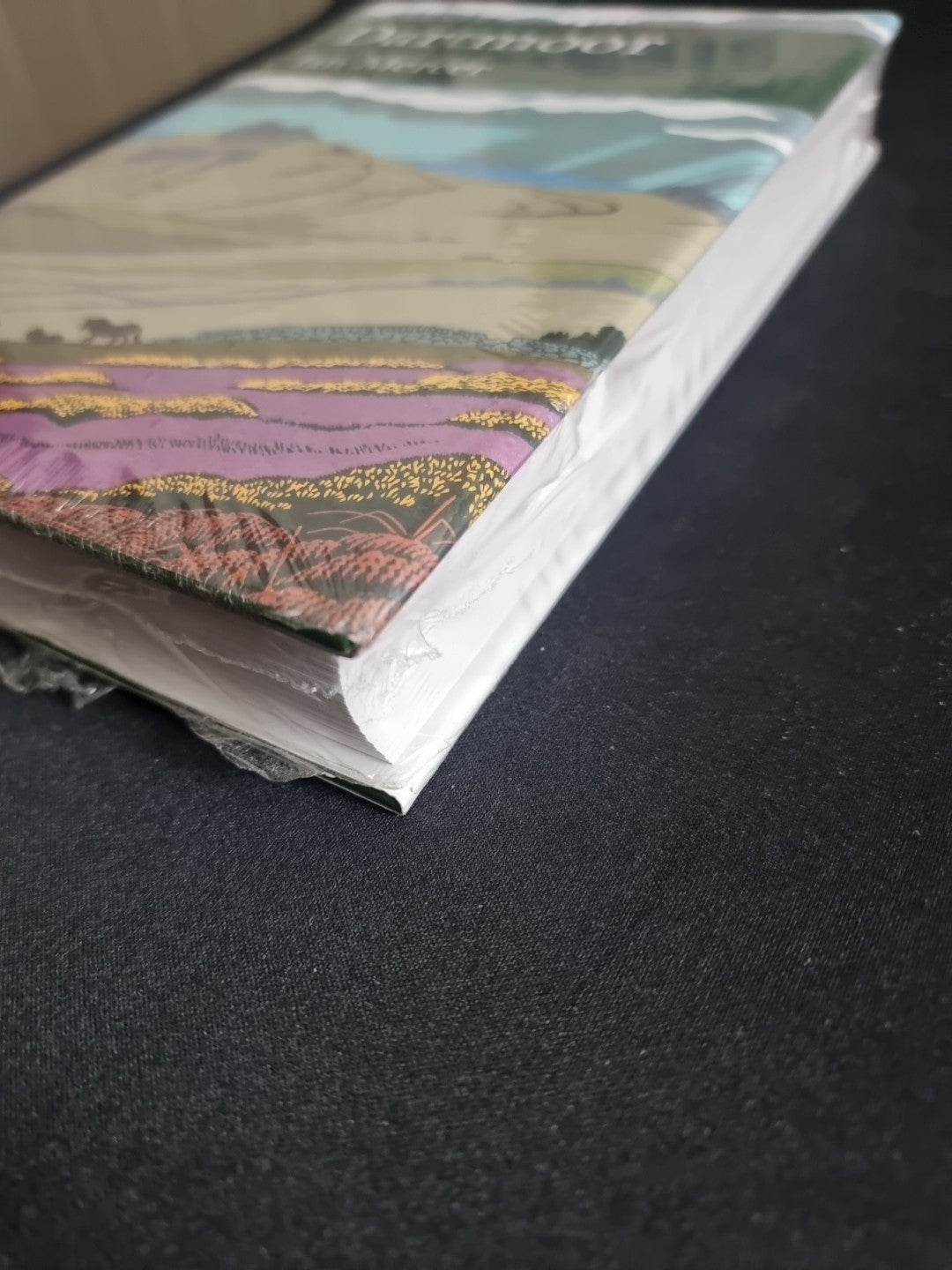 Dartmoor by Ian Mercer (Hardcover, 2009) 