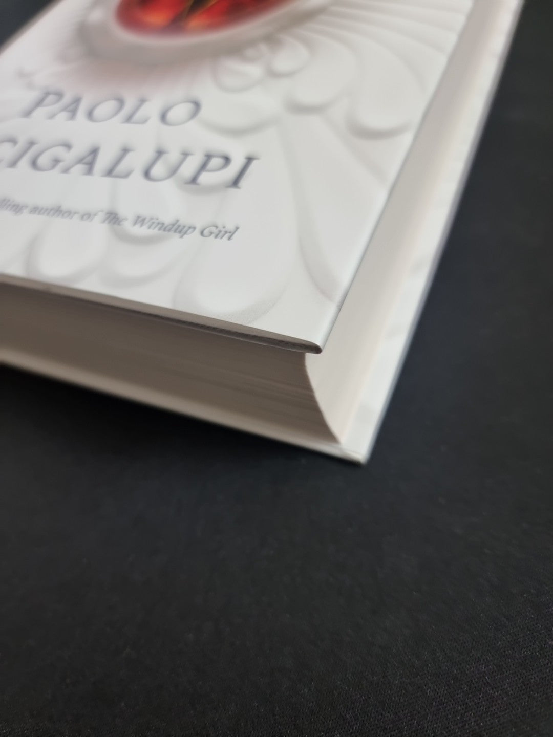 Navola  Paolo Bacigalupi 