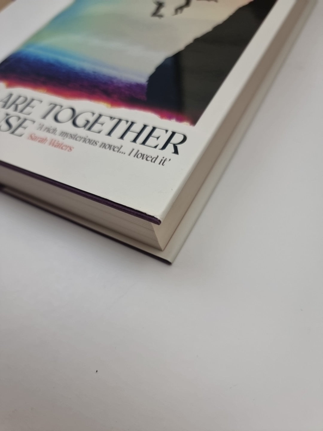 We Are Together Because: A novel of siblings 1st Edition Signed 