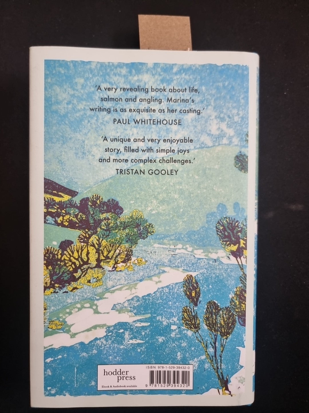 Cast Catch Release  Marina Gibson 