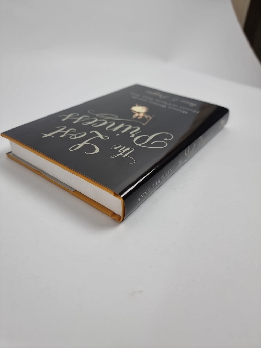 The Lost Princess Anne Duggan New- Free Tracked Delivery