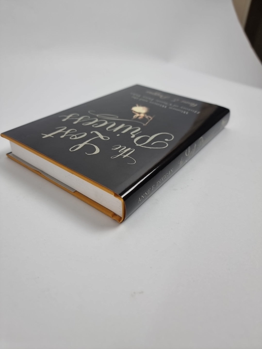 The Lost Princess Anne Duggan New- Free Tracked Delivery