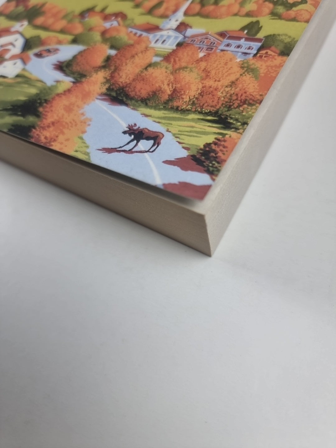 Notes From A Big Country: Journey into the American Dream 