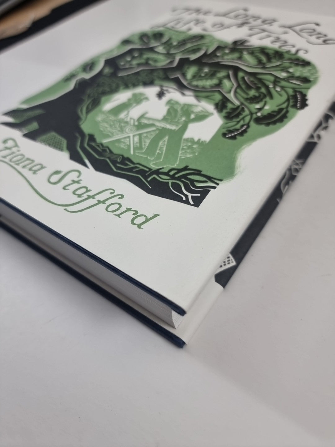 The Long, Long Life of Trees - Stafford, Fiona 