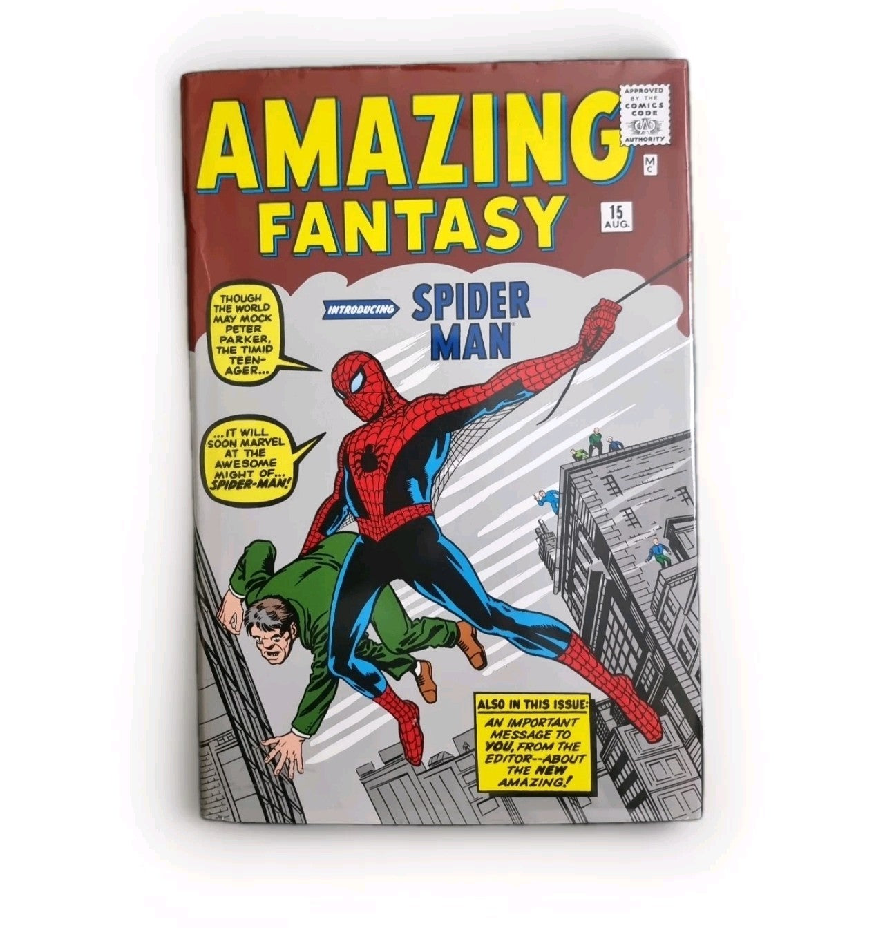 The Amazing Spider-man Omnibus Vol. 1 by Stan Lee *1ST EDITION*