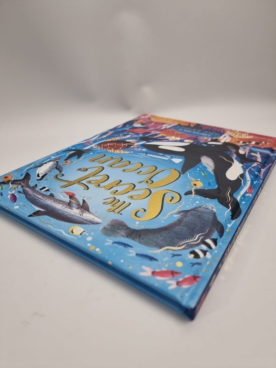 The Secret Ocean by Amy Grimes NEW Free UK Delivery