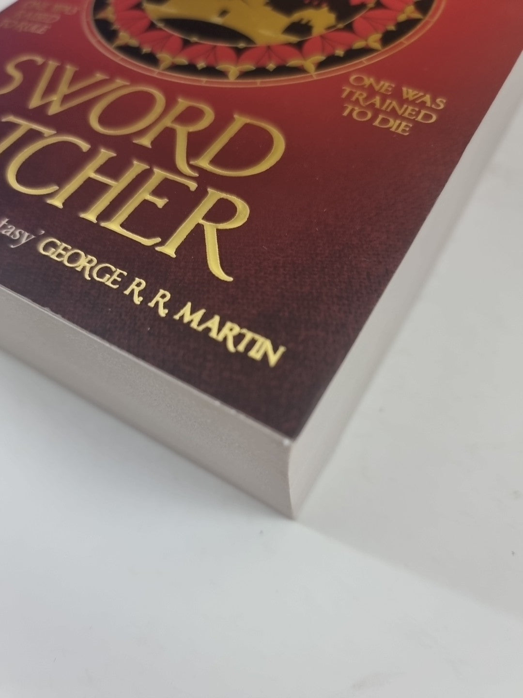 Sword Catcher: Discover the magical - Clare, Cassandra 