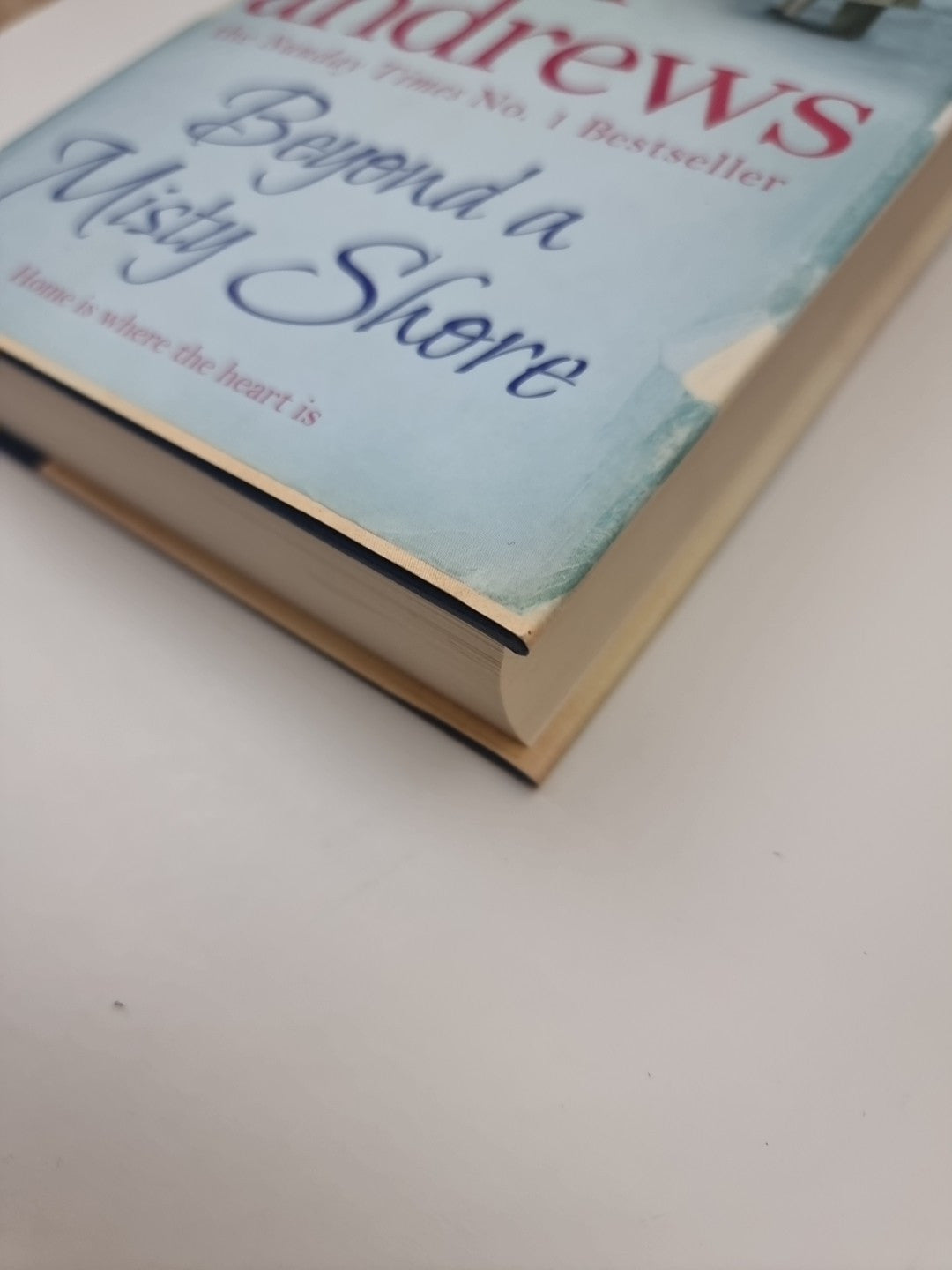 Beyond a Misty Shore: An utterly compelling saga of love and family SIGNED