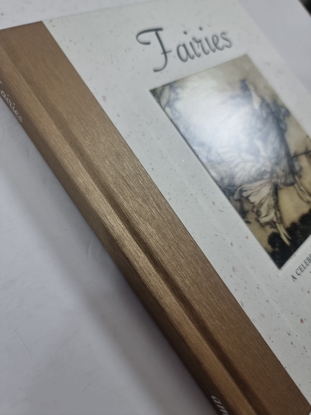 Fairies  Dominic Connolly 