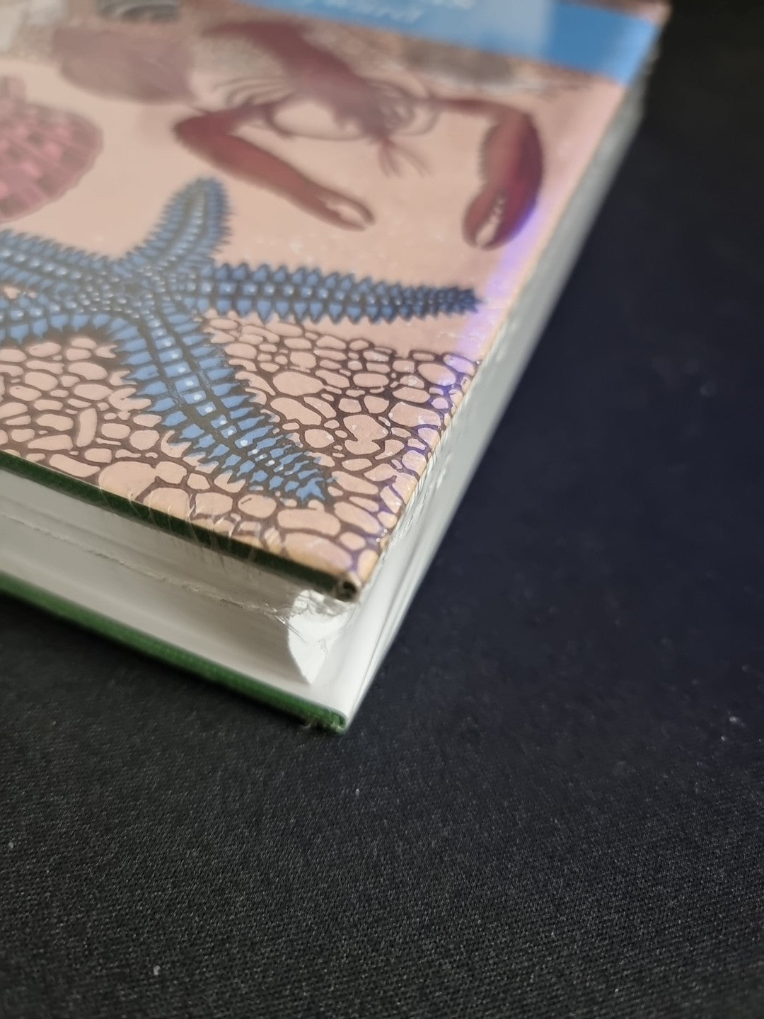 Shallow Seas (Collins New Naturalist Library, Book 131) by Peter Hayward